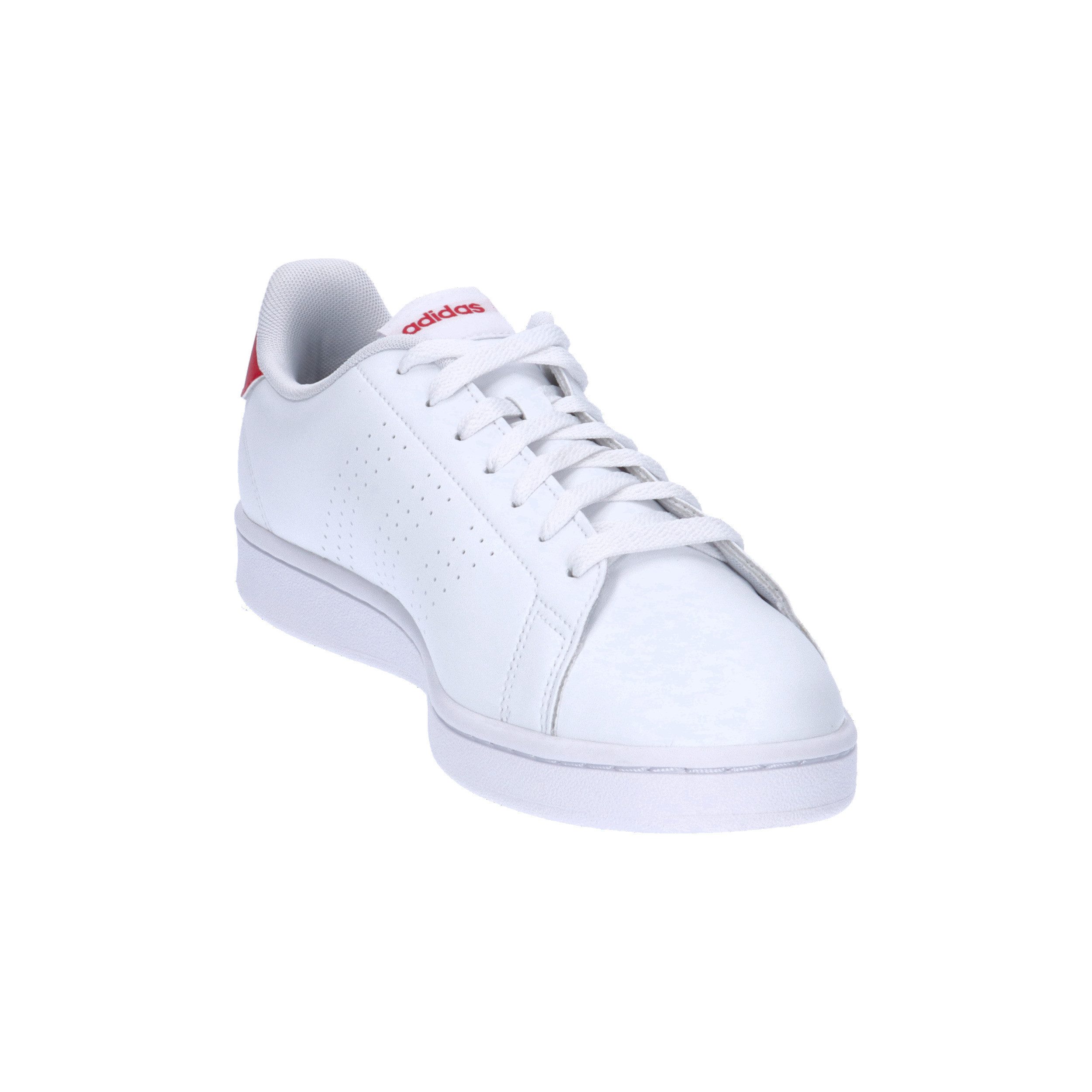 adidas Performance adidas Herren Sneaker Advantage günstig online kaufen