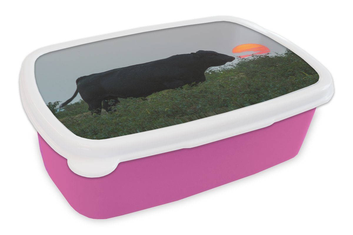 Kunststoff, Mädchen, Brotbox - Schwarz Snackbox, Kinder, Kuh für (2-tlg), Kunststoff Lunchbox MuchoWow Sonne, rosa - Erwachsene, Brotdose