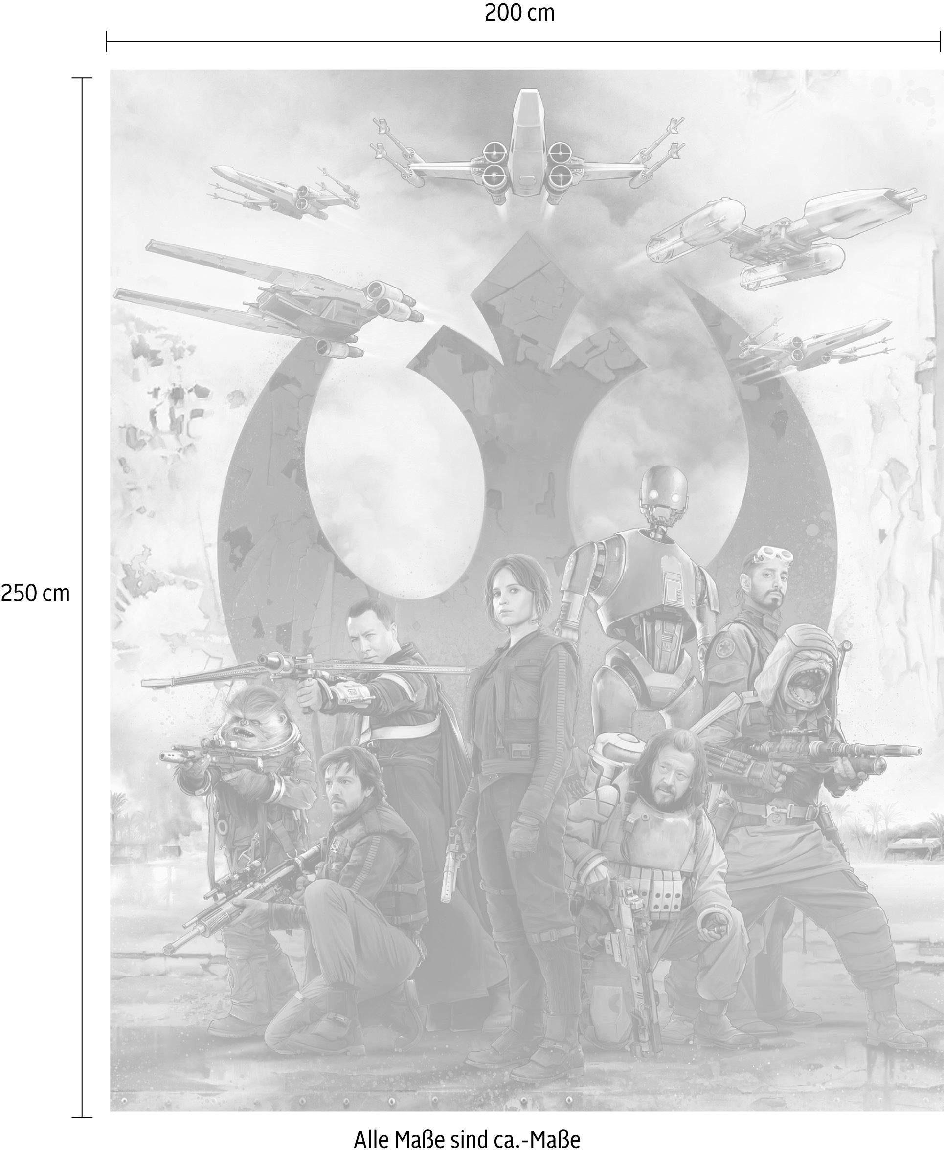 Komar Vliestapete »Star Wars Rebels«, glatt, Comic-kaufen