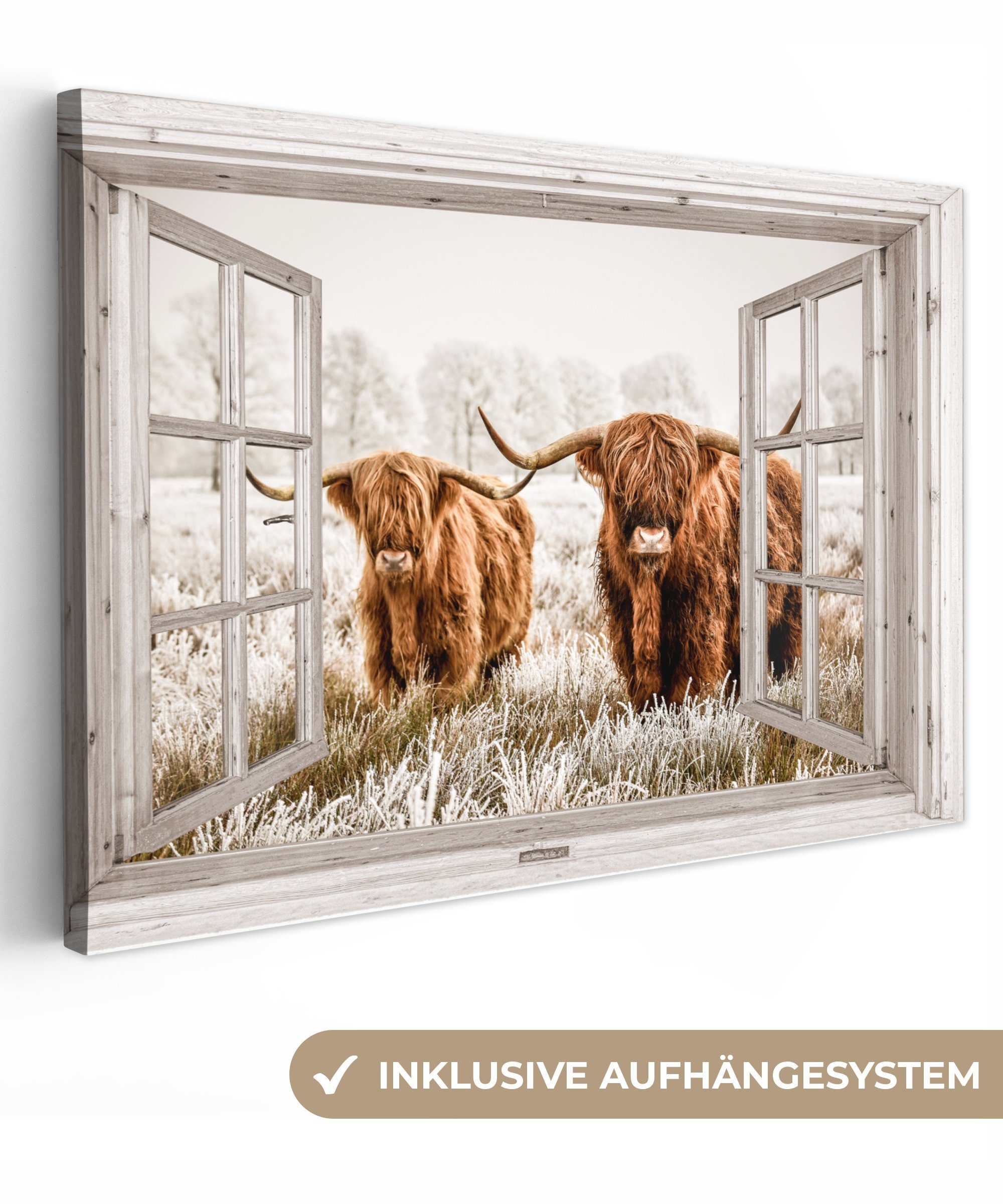 OneMillionCanvasses® Leinwandbild Durchblick - Schottische Highlander - Tiere, Fotodruck (1 St), Leinwand Bilder Klein, Wand Dekoration Aesthetic 30x20 cm