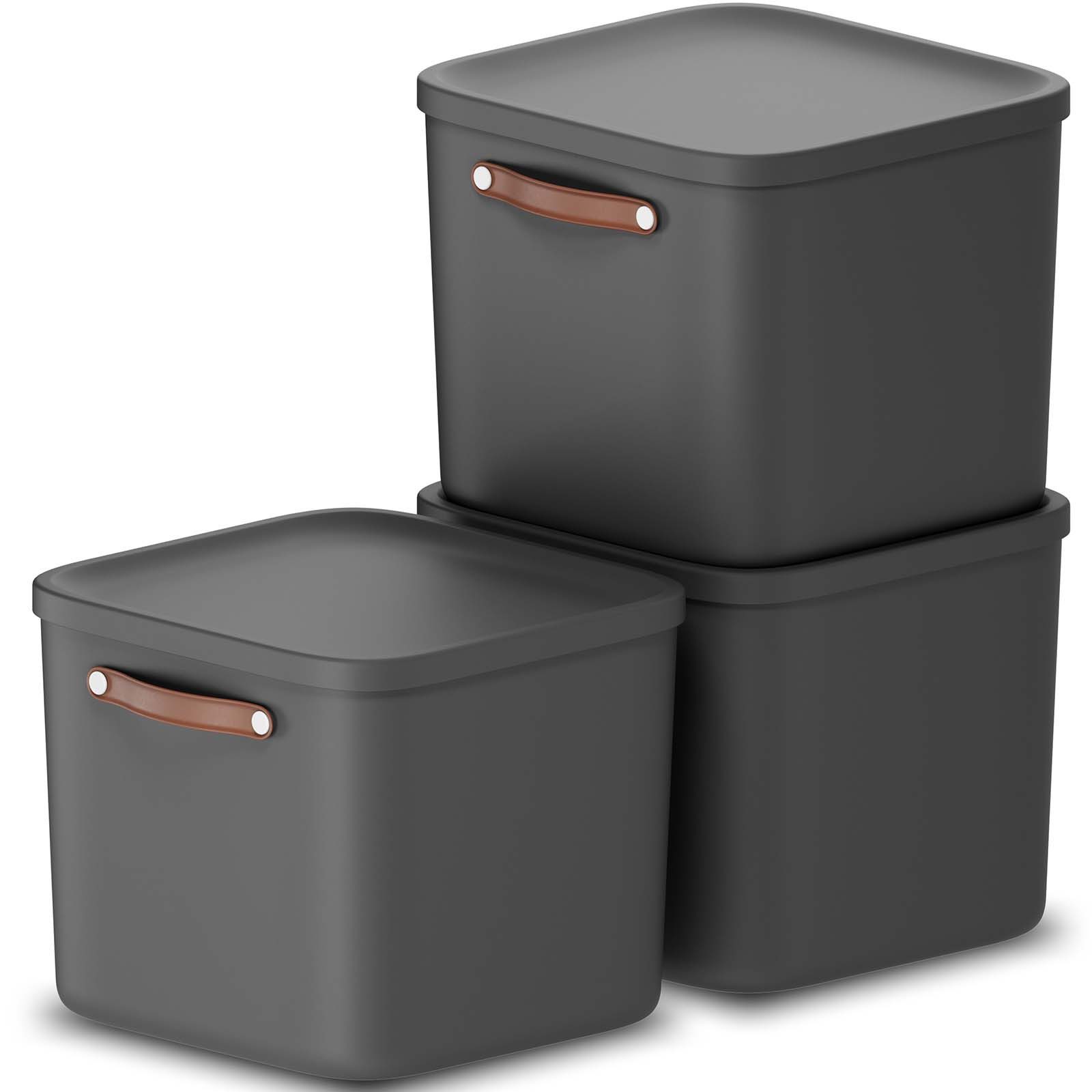 ROTHO Stapelbox 3er-Set Kiste mit Deckel Maloja 40l (Aufbewahrungsset, 3er-Set)