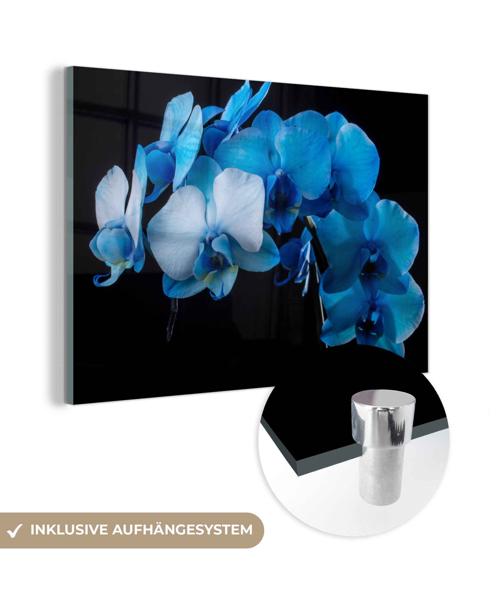 MuchoWow Acrylglasbild Blaue Orchidee vor schwarzem Hintergrund, (1 St), Acrylglasbilder Wohnzimmer & Schlafzimmer