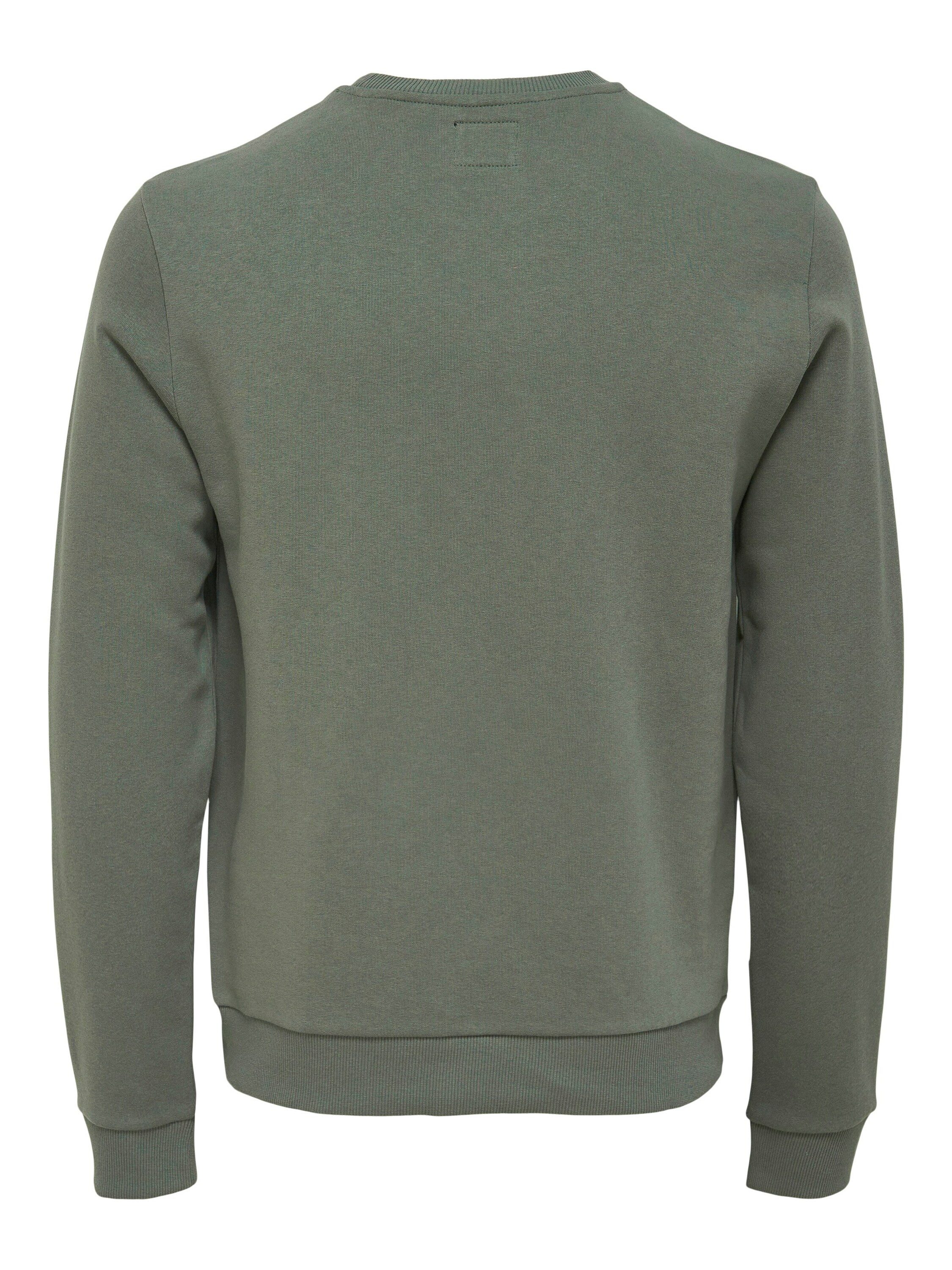 Castor Gray 22018683