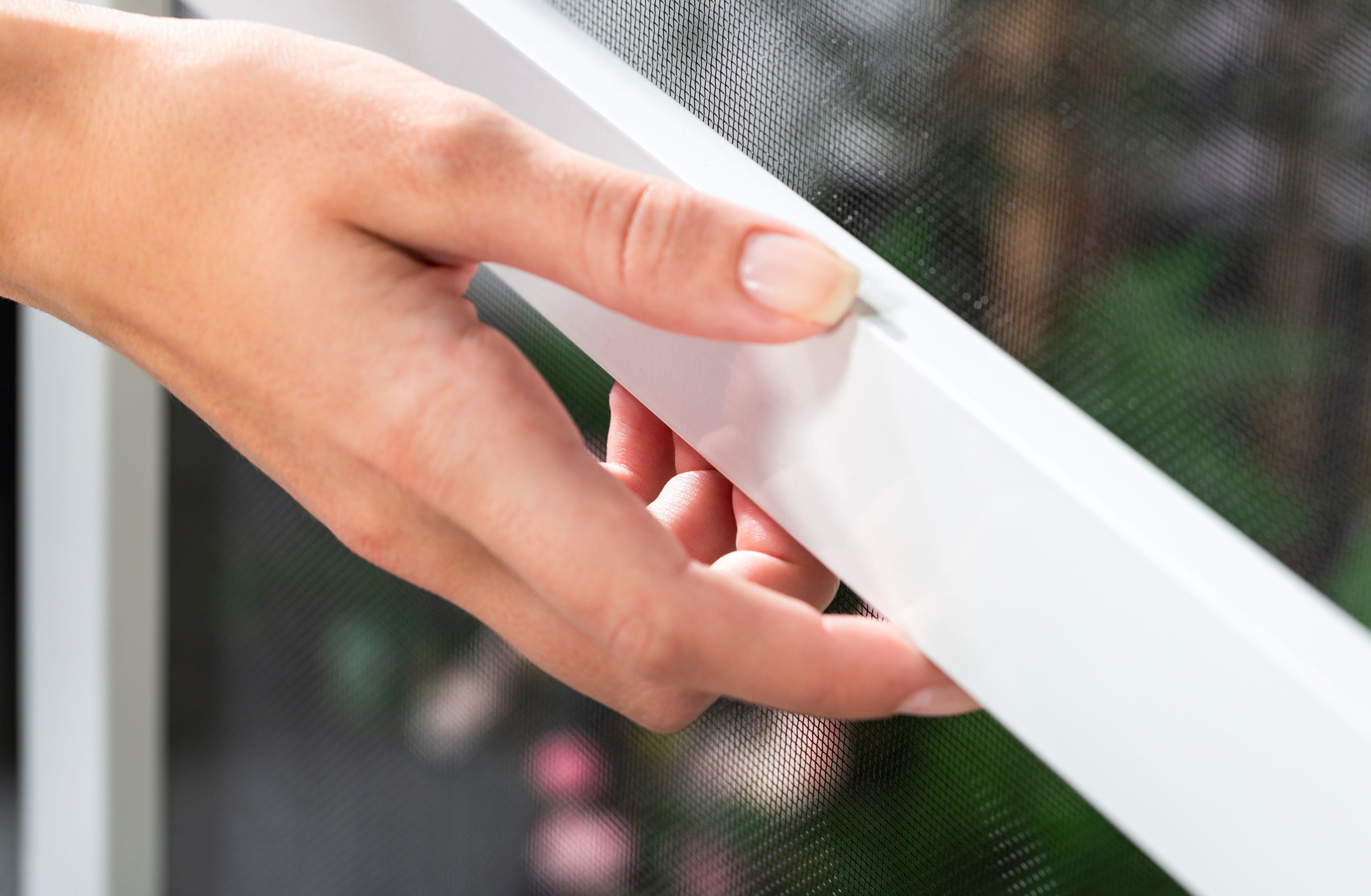 hecht international Insektenschutz-Tür COMPACT, BxH: 100x210 günstig online kaufen