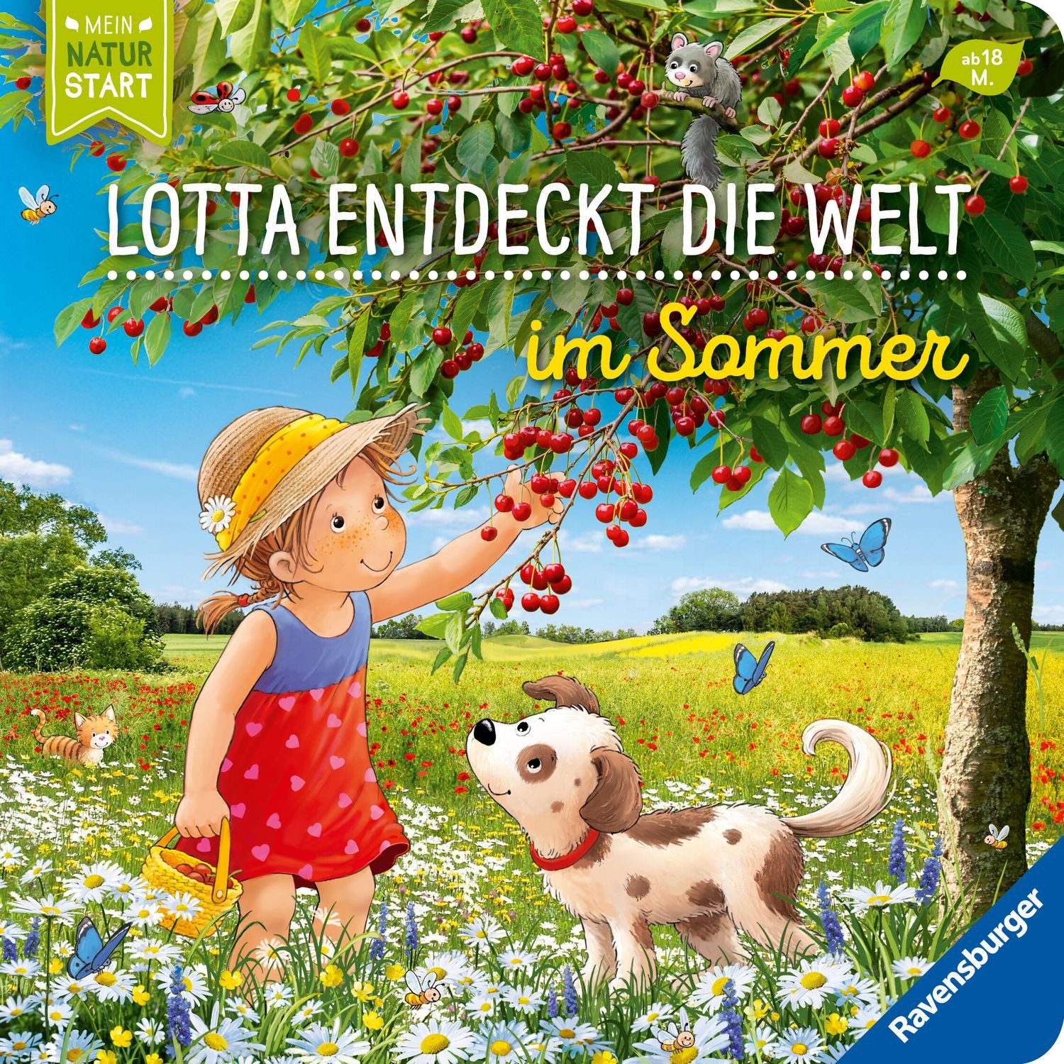 Kinderbuch Lotta entdeckt die Welt: Im Sommer Sandra Grimm
