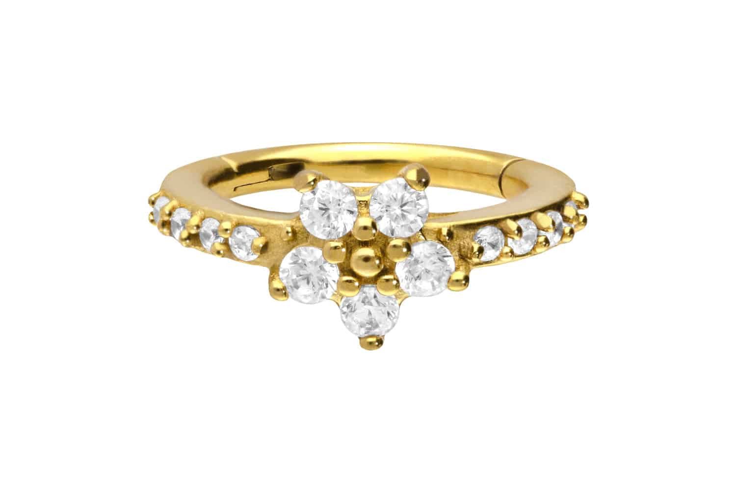 PIERCINGLINE Piercing-Set Chirurgenstahl Segmentring Clicker EINGEFASSTE günstig online kaufen