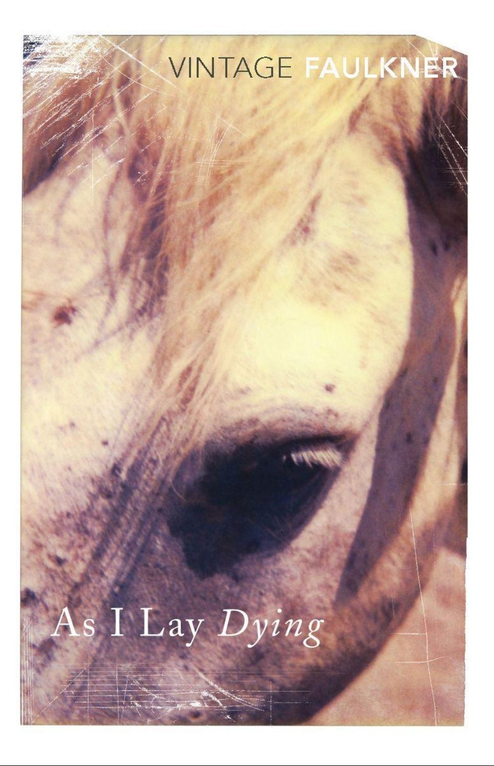 As I Lay Dying / William Faulkner