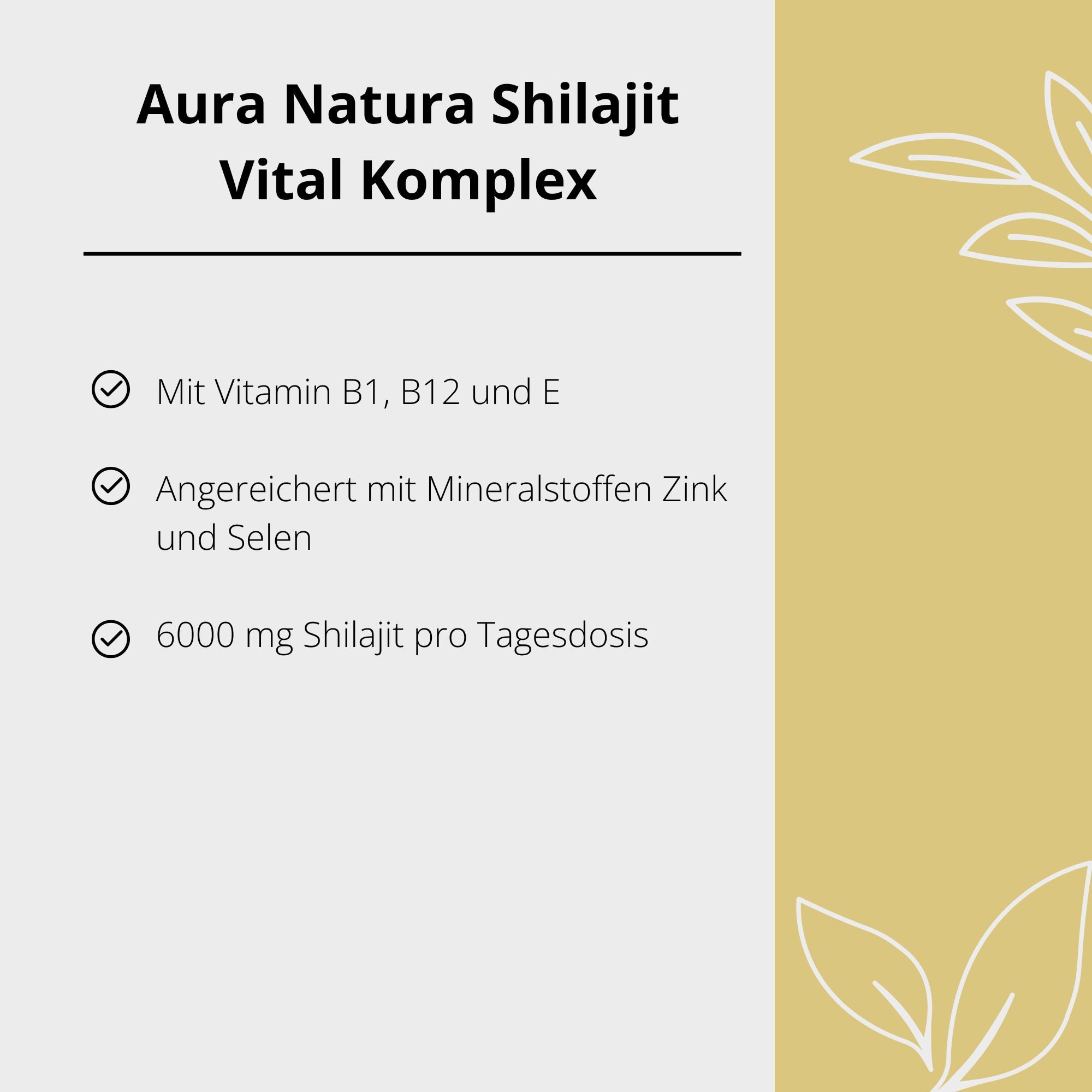 Aura Natura Aura Natura Shilajit Vital Komplex Kapseln mit Vitamin B1, B12 und E Kapseln, 1 er 30 St., Angereichert mit den Mineralstoffen Zink und Selen