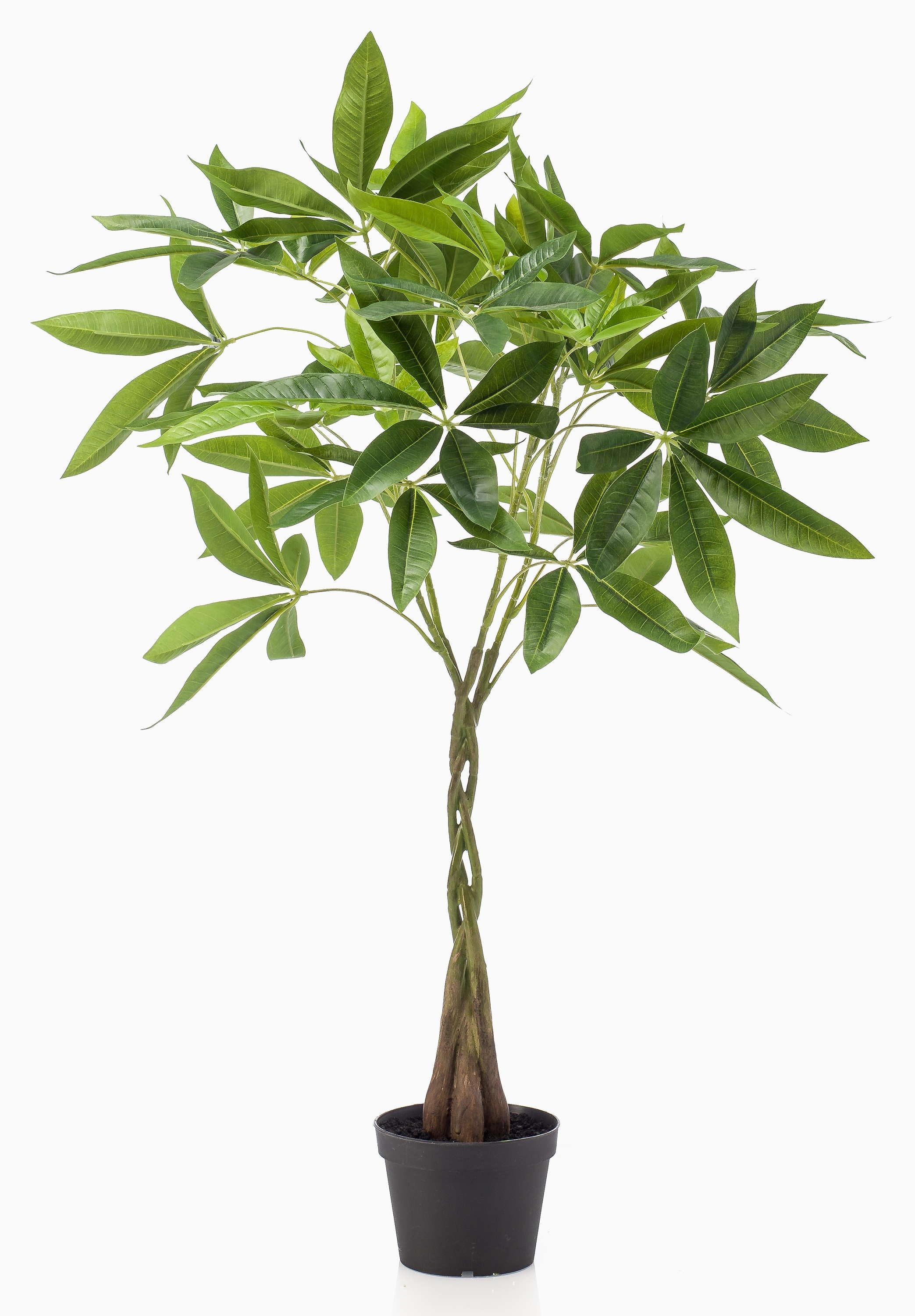 Kunstbaum Pachira ALEC, Kunststämme, 90cm Pachira, artplants, Höhe 90.0 cm