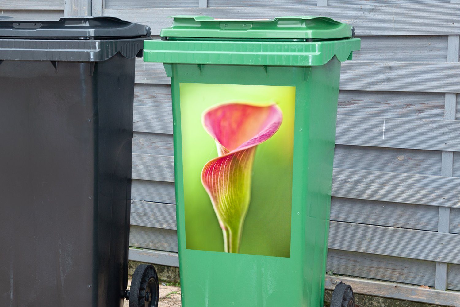 MuchoWow Wandsticker Bunte Calla-Blume auf Sticker, Hintergrund St), Abfalbehälter Mülleimer-aufkleber, Container, Mülltonne, (1 grünem