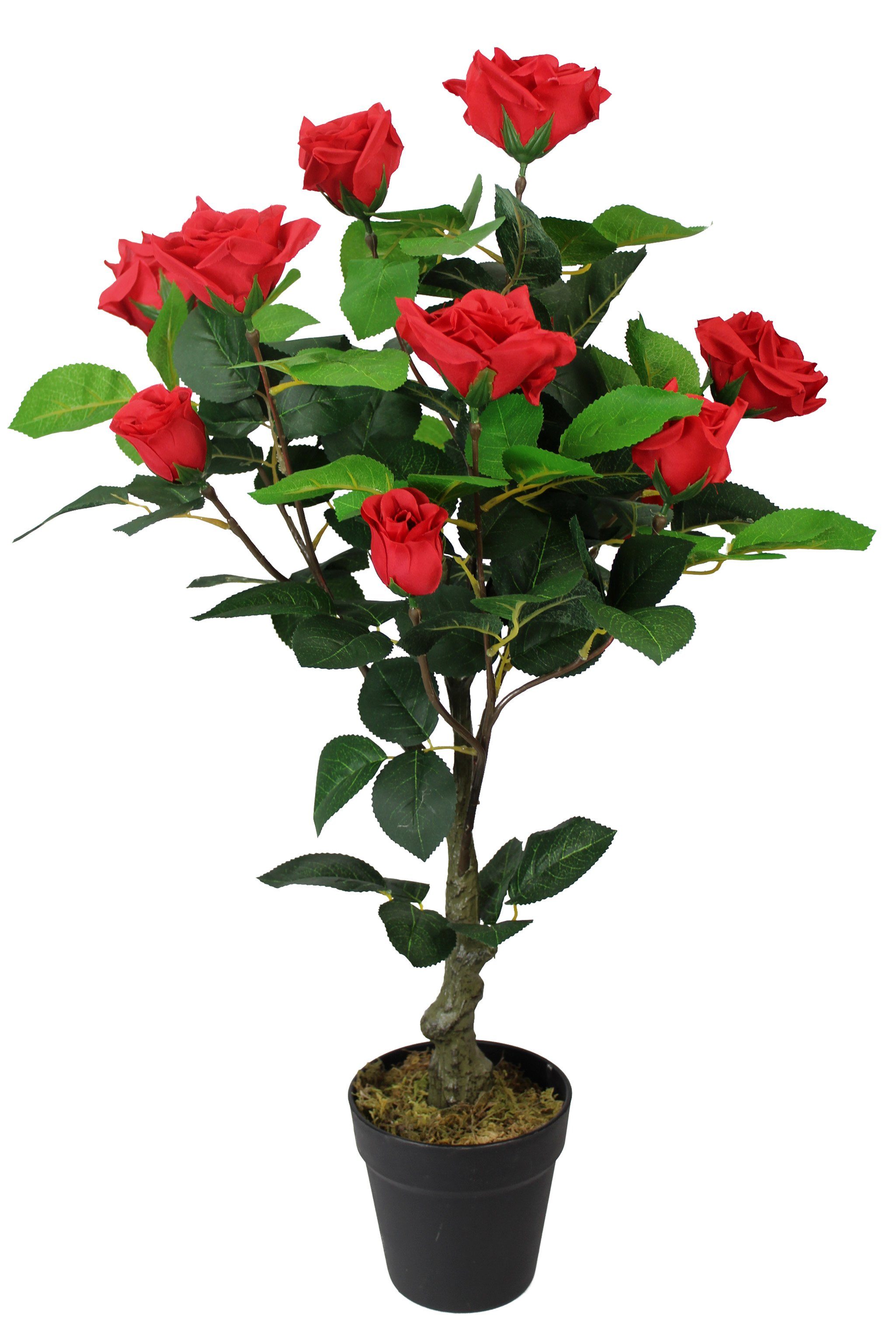 Höhe im künstliche fertig Rose, Topf Kunstrose 75 rot Kunstpflanze künstliche Pflanze Rose Arnusa, cm, Rosenstamm