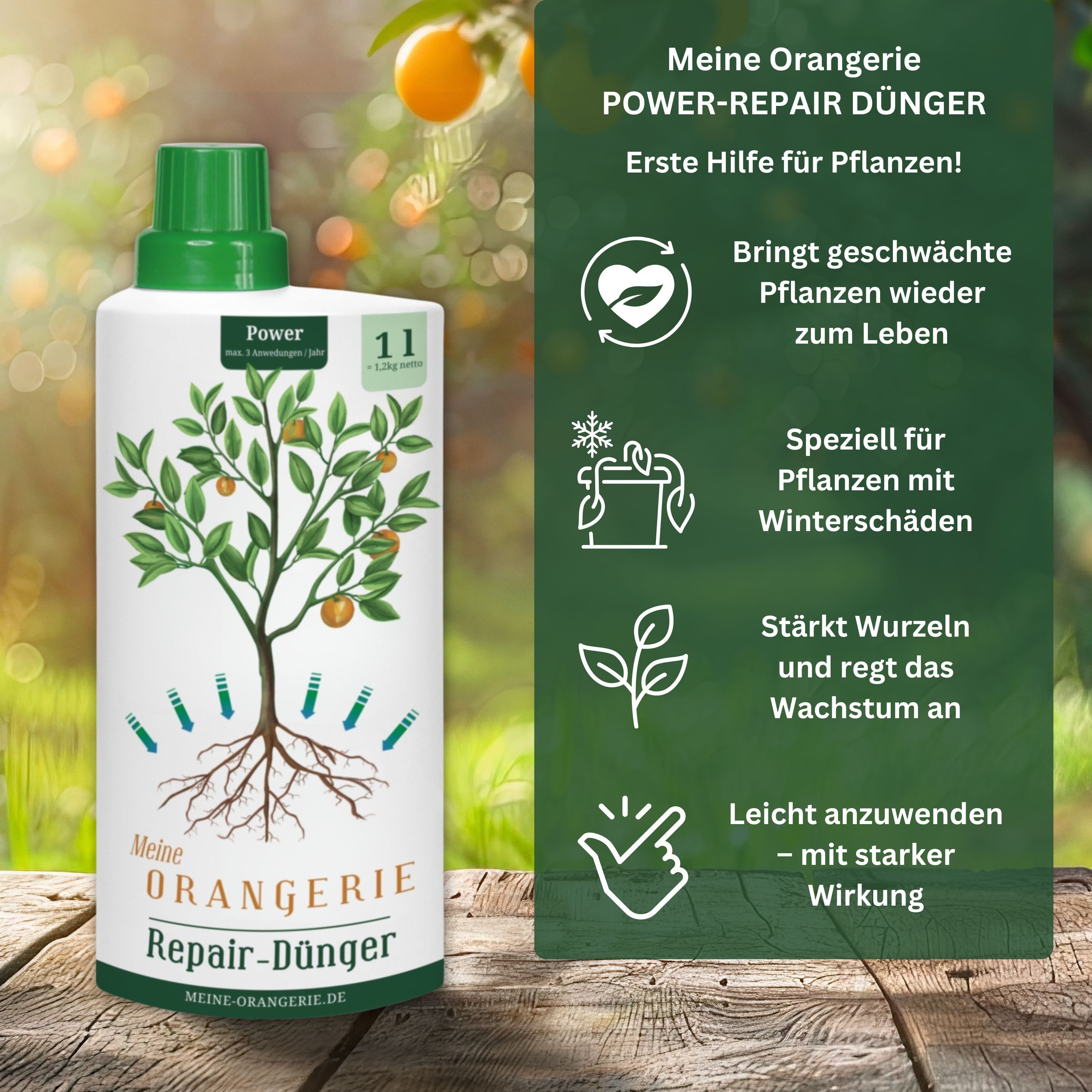 Meine Orangerie Pflanzenstärkungsmittel Power-Repair-Dünger, hochwirksame Pflanzenkur, 1 Liter, Flasche, Wurzelaktivator mit Spurenelementen, Vitaminen & Pflanzenhormonen, Repair-Dünger für Pflanzen mit Winterschäden