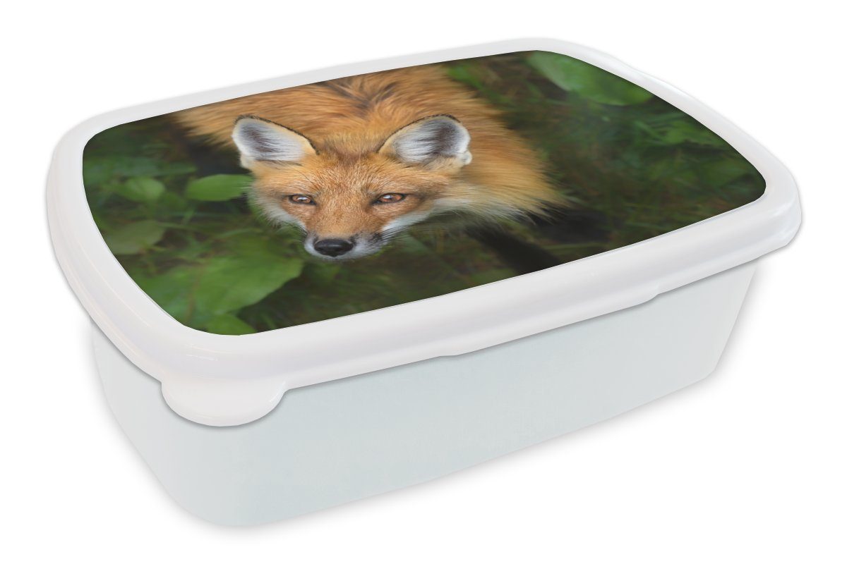 MuchoWow Lunchbox Fuchs - und Brotbox Jungs Mädchen - Kunststoff, weiß (2-tlg), Erwachsene, Orange, Kinder Brotdose, für und Grün für