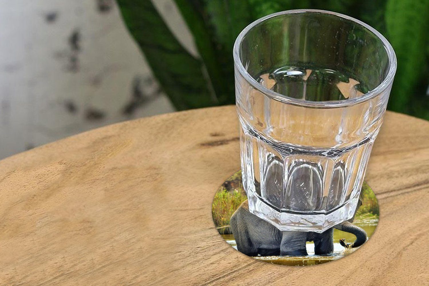 MuchoWow Glasuntersetzer Elefant - Wasser 6-tlg., Becher Tassenuntersetzer, für - Zubehör Tiere Tasse, Gläser, Getränkeuntersetzer, Korkuntersetzer, Natur, 