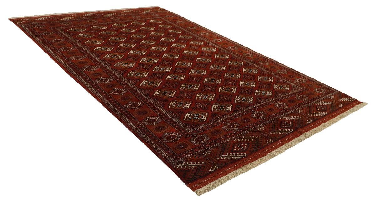 Turkaman Nain Handgeknüpfter 6 Höhe: / Orientteppich Perserteppich, rechteckig, Trading, mm 220x336 Orientteppich