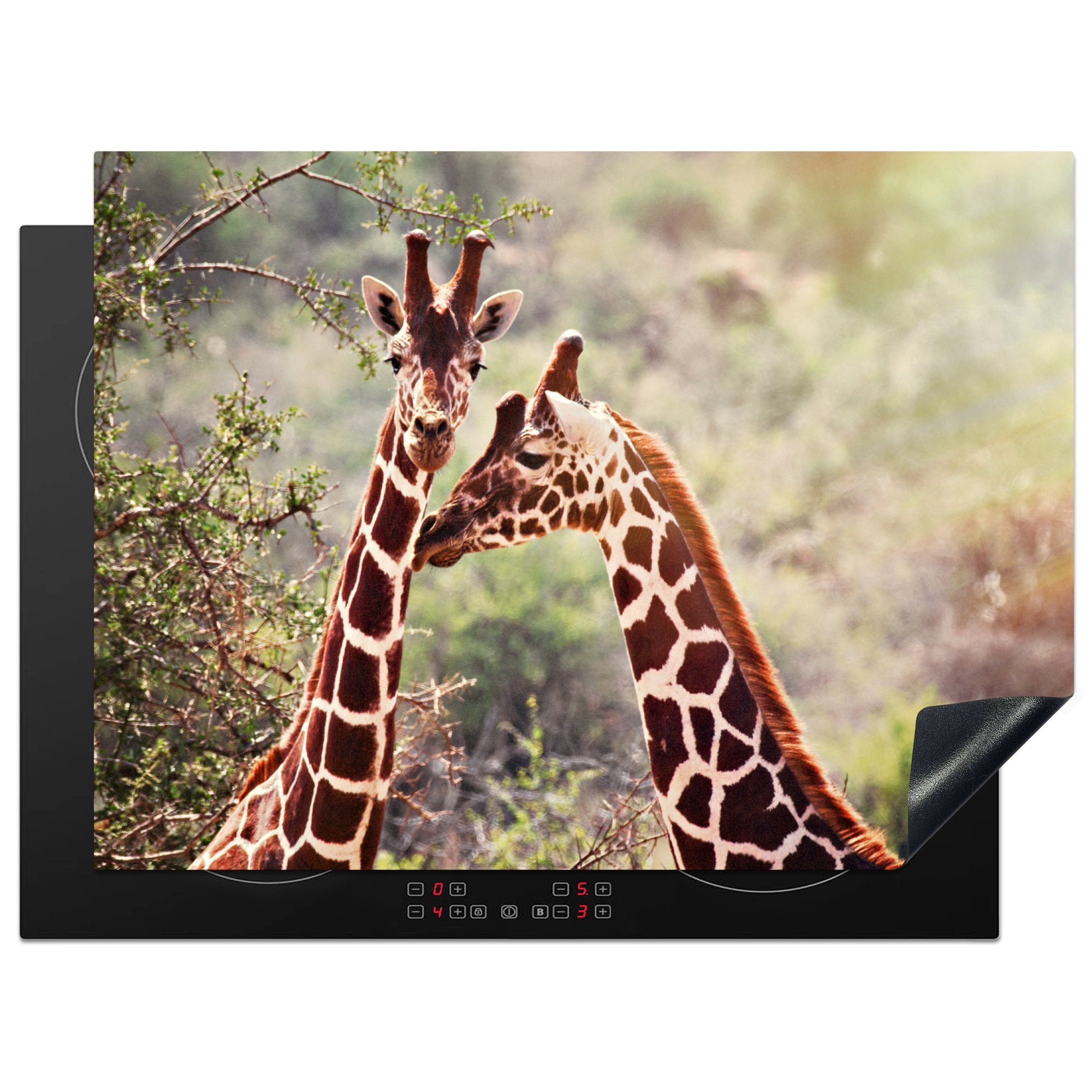 Arbeitsfläche Giraffen 70x52 Herdblende-/Abdeckplatte MuchoWow einem verblassten Ceranfeldabdeckung tlg), vor Hintergrund, nutzbar, Zwei Vinyl, cm, (1 Mobile
