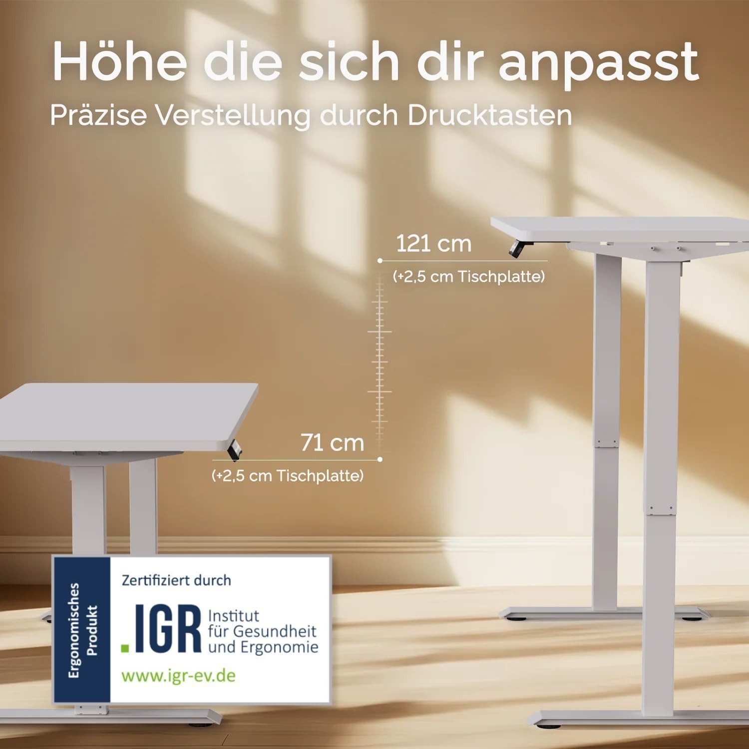 DESKSPACE Tischgestell Pro Höhenverstellbares Tischgestell mit USB, Memory & Kollisionsschutz (Einzelartikel), Elektrisch höhenverstellbar, Memoryfunktion, USB, Kollisionsschutz