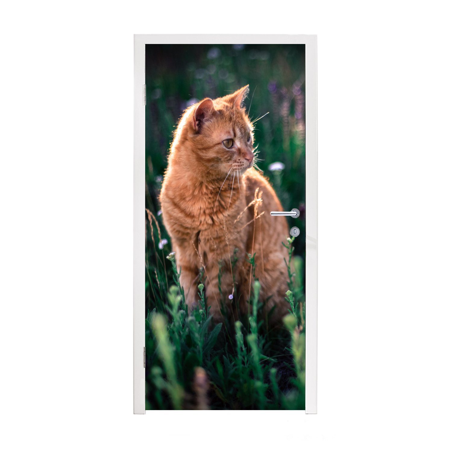 MuchoWow Türtapete Katze - Blumen - Mantel, Matt, bedruckt, (1 St), Fototapete für Tür, Türaufkleber, 75x205 cm