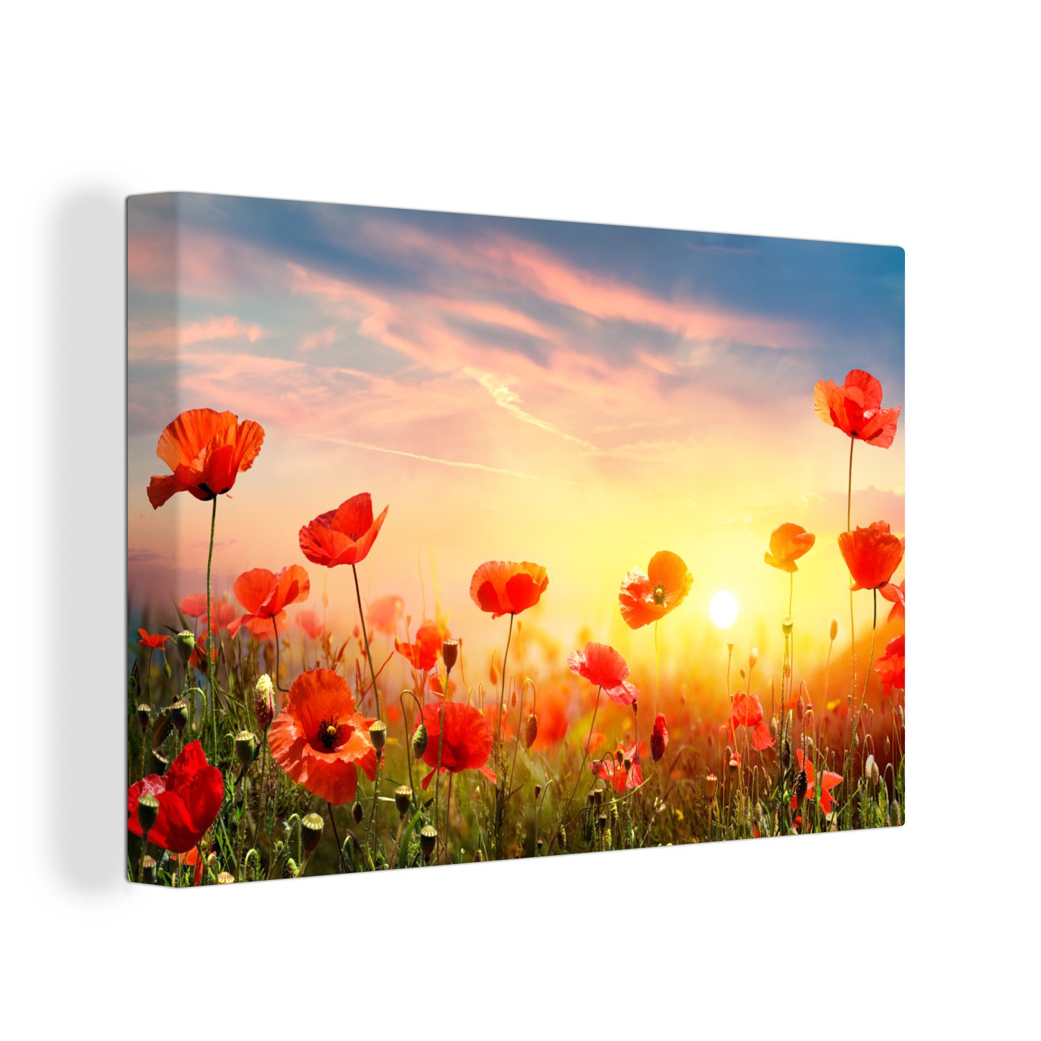 OneMillionCanvasses® Leinwandbild Mohnblumen - Frühling - günstig online kaufen