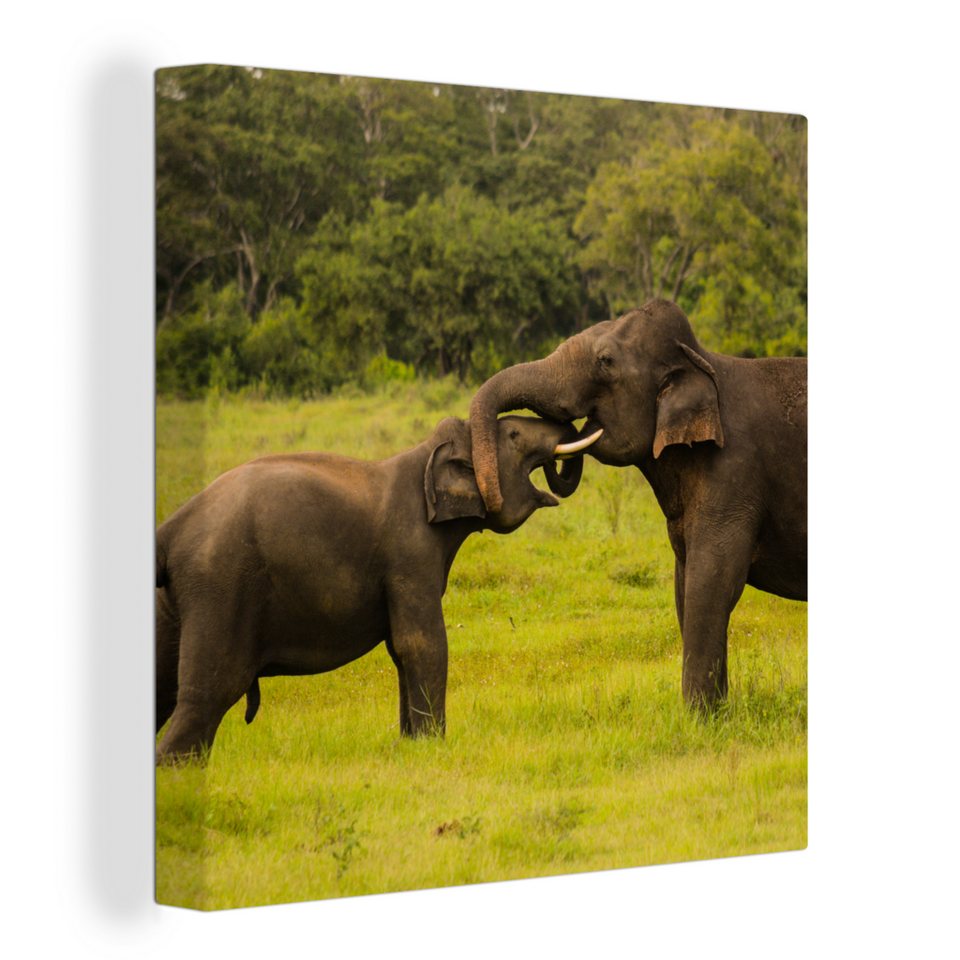 OneMillionCanvasses® Leinwandbild Zwei kämpfende Elefanten, (1 St), Leinwand  Bilder für Wohnzimmer Schlafzimmer