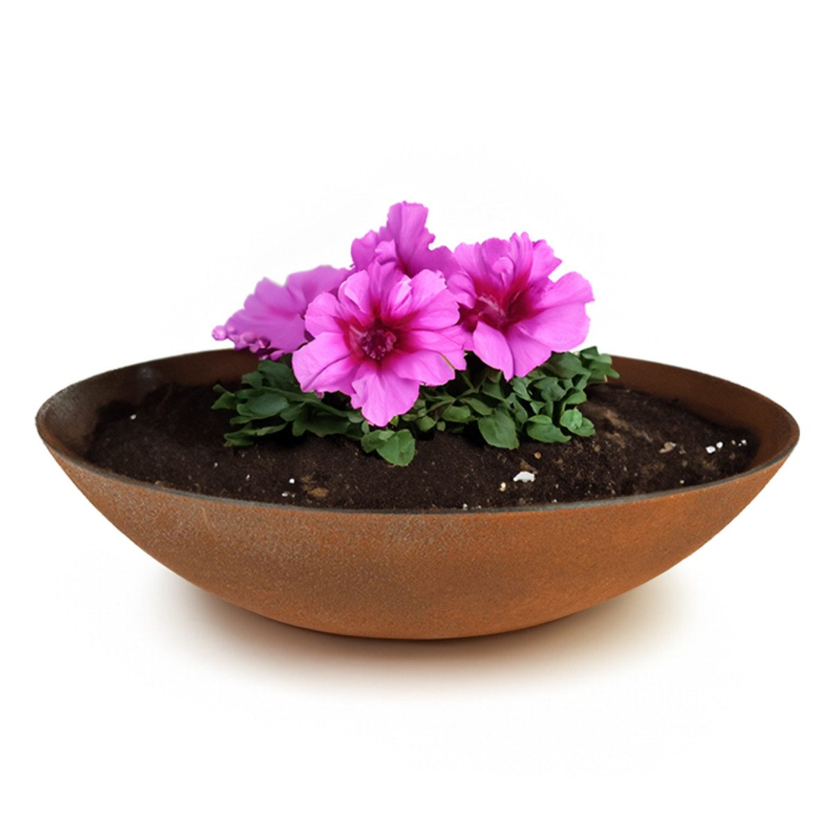 matches21 HOME & HOBBY Blumentopf Pflanzschale günstig online kaufen