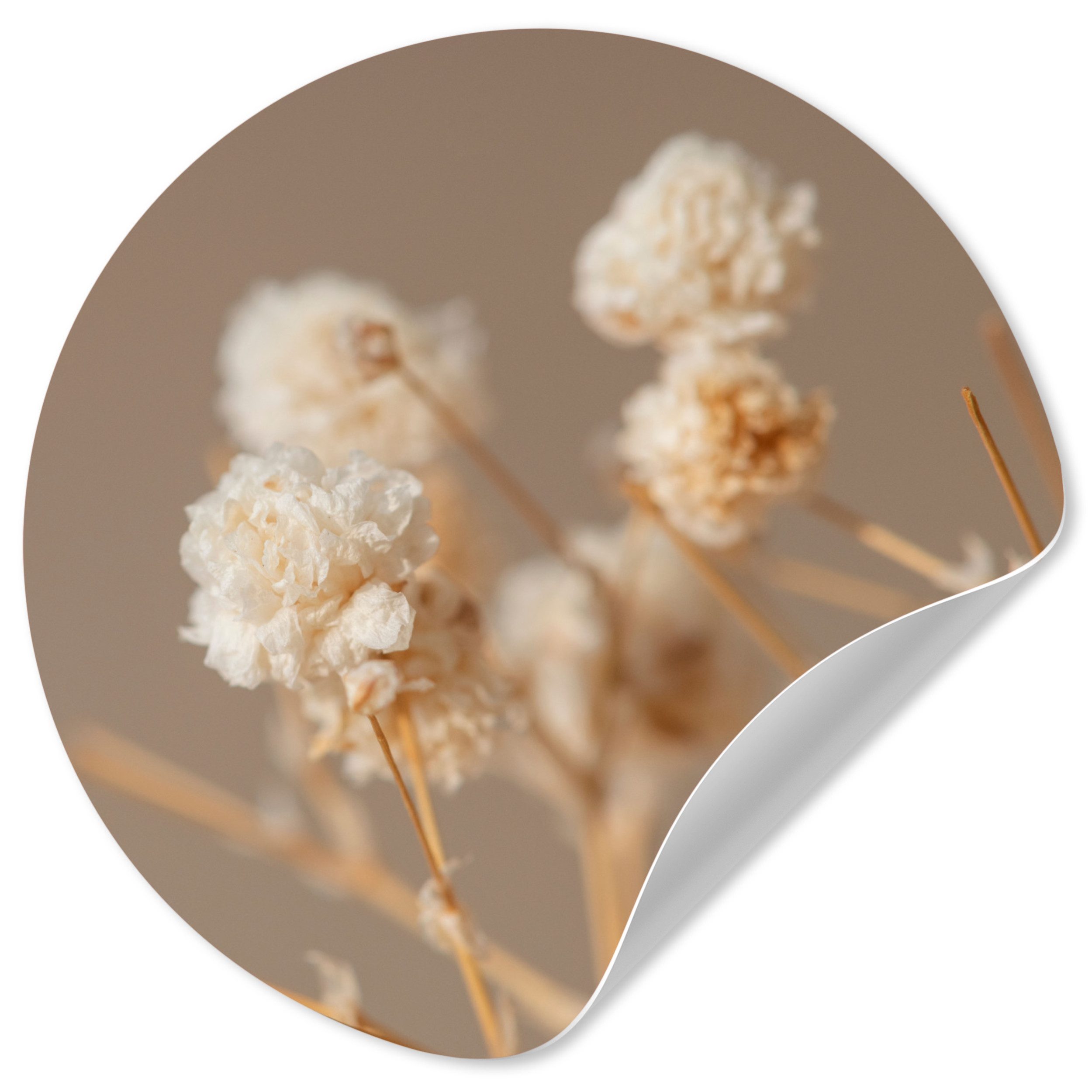 MuchoWow Wandsticker Blumen - Weiß - Natur - Pastell (1 St), Wandtattoo Selbstklebend, Wohnzimmer Deko Aufkleber, 30x30 cm