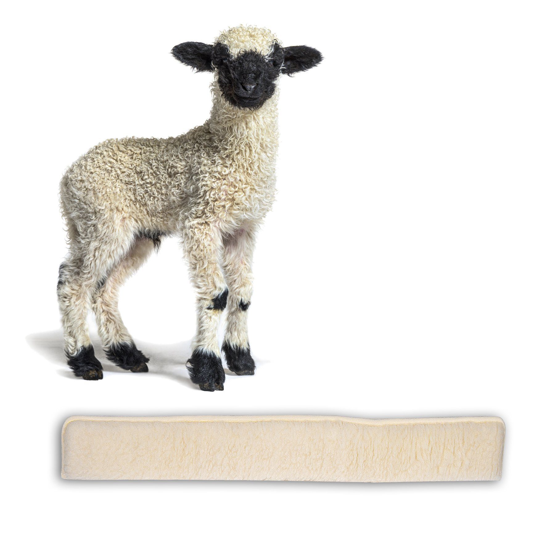 BigDean Виключення чернетки für Türen 80cm 100% Schurwolle Beige Luftzugstopper Made in Germany, 1-tlg.