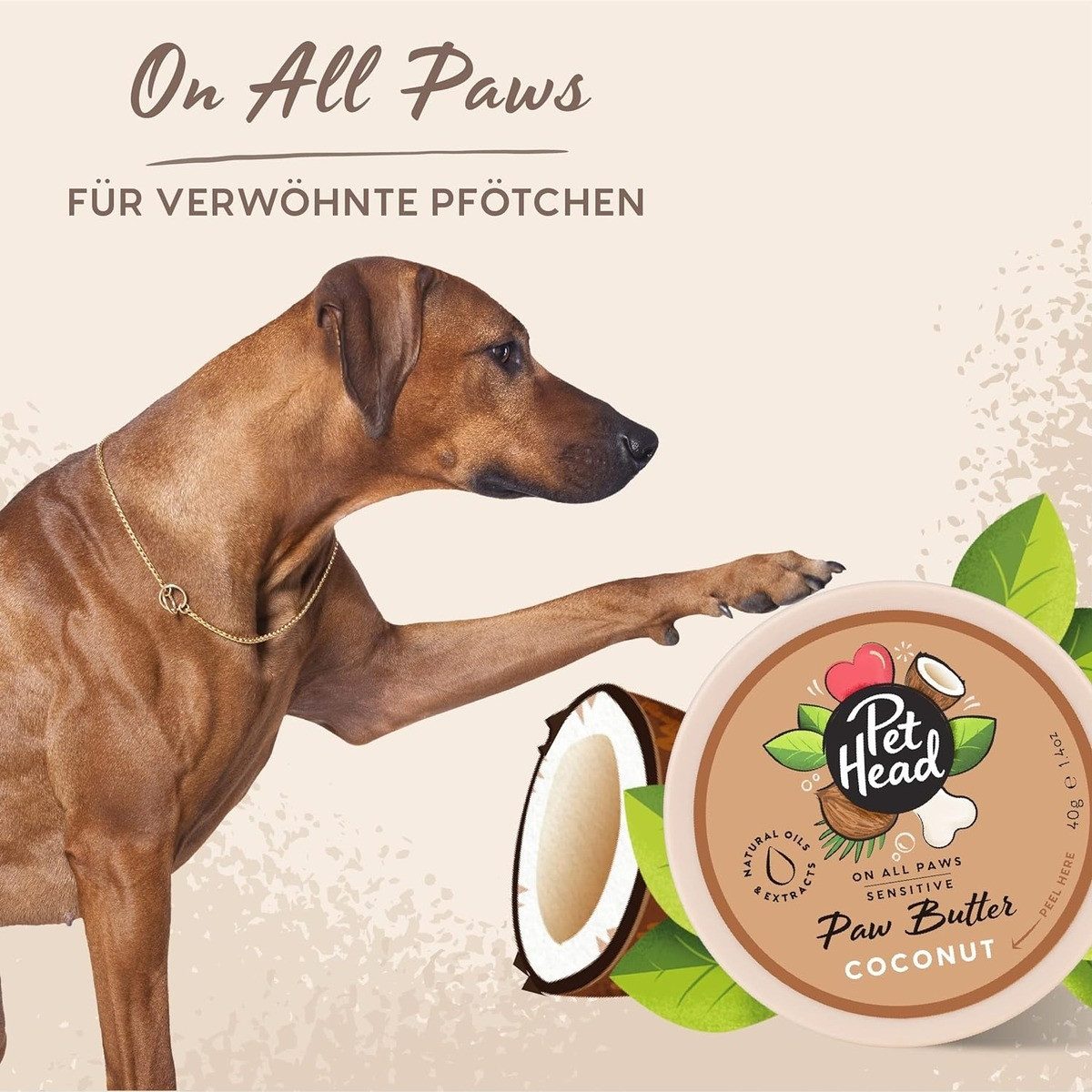 Pet Head Fellbürste Pfotenbalsam Paw Butter Coconut 40 g
