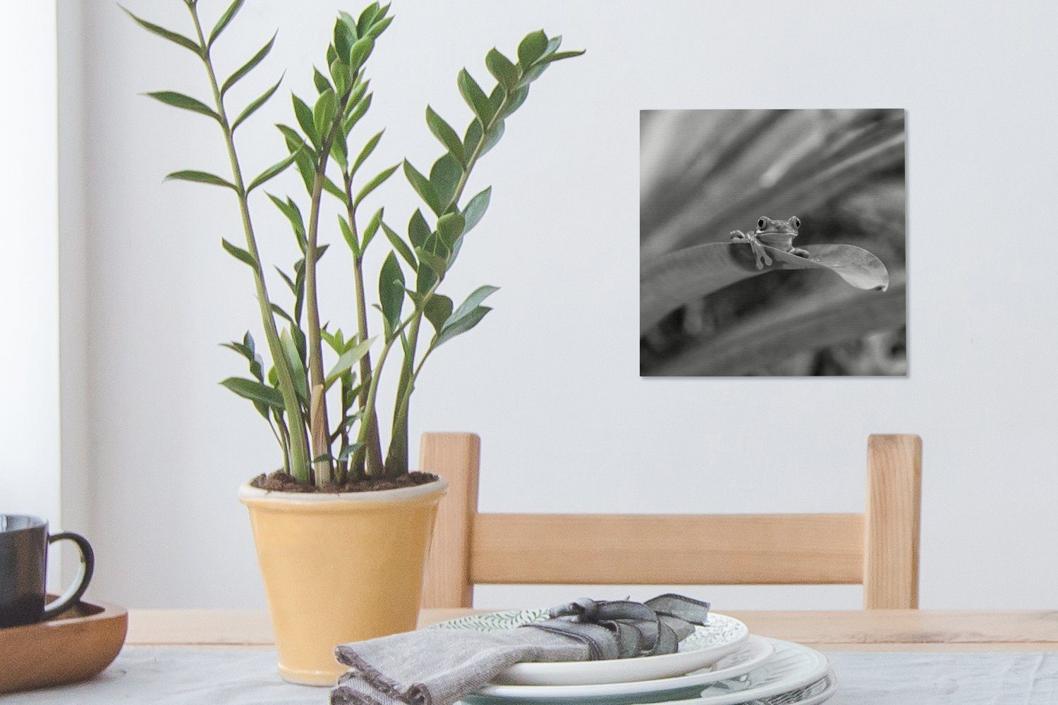Rotaugenmakakenfrosch Leinwandbild Bilder Schlafzimmer Costa schwarz-weiß, in in Rica (1 für Leinwand unter St), OneMillionCanvasses® Wohnzimmer Blättern