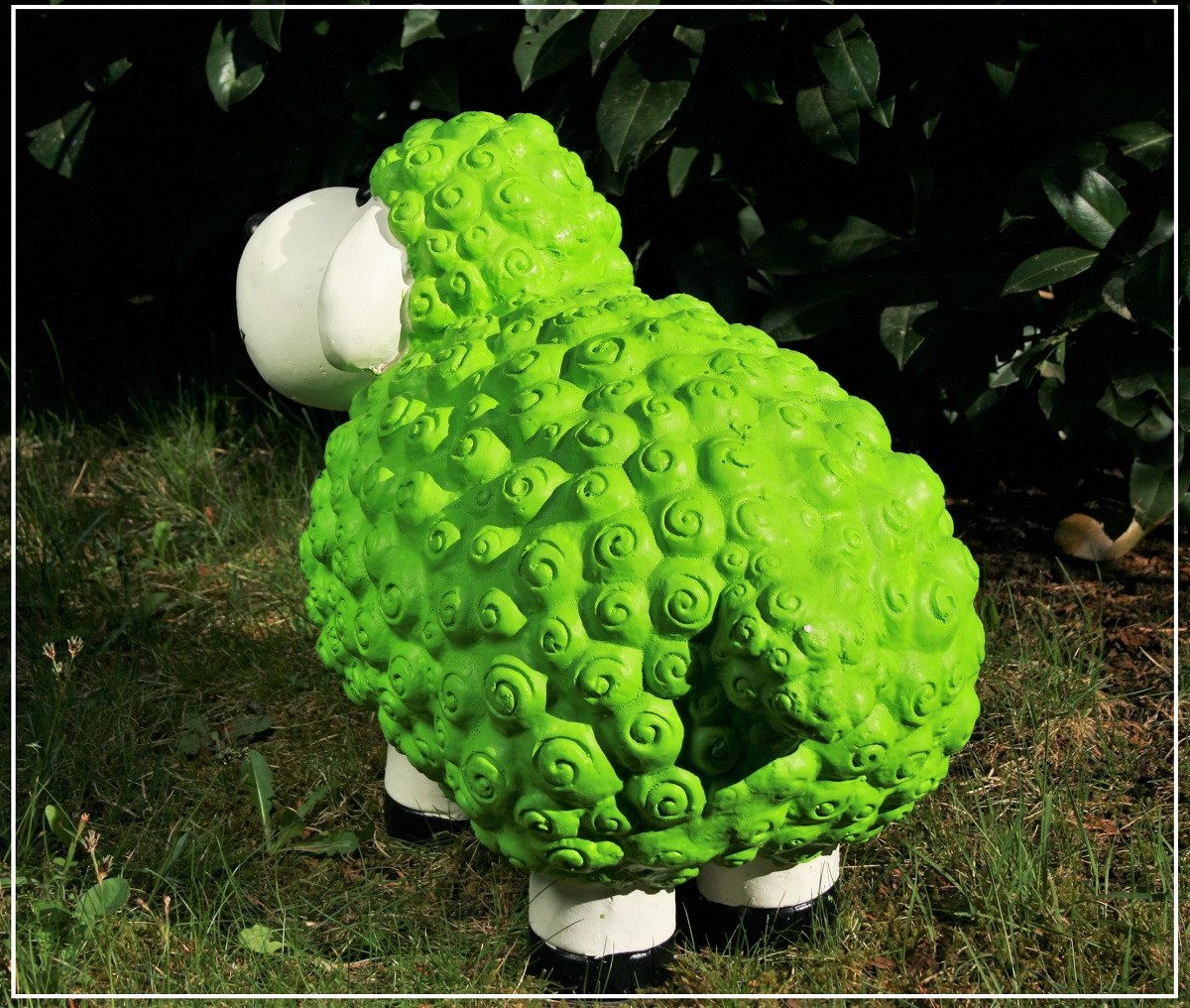Geschenkestadl Gartenfigur XL Schafe in verschiedenen Farben Gartenfigur – Bild 4 von 5