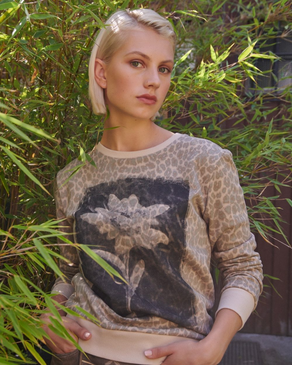 vronikaa Trachtenshirt Damen Sweatshirt Leo-Print mit günstig online kaufen
