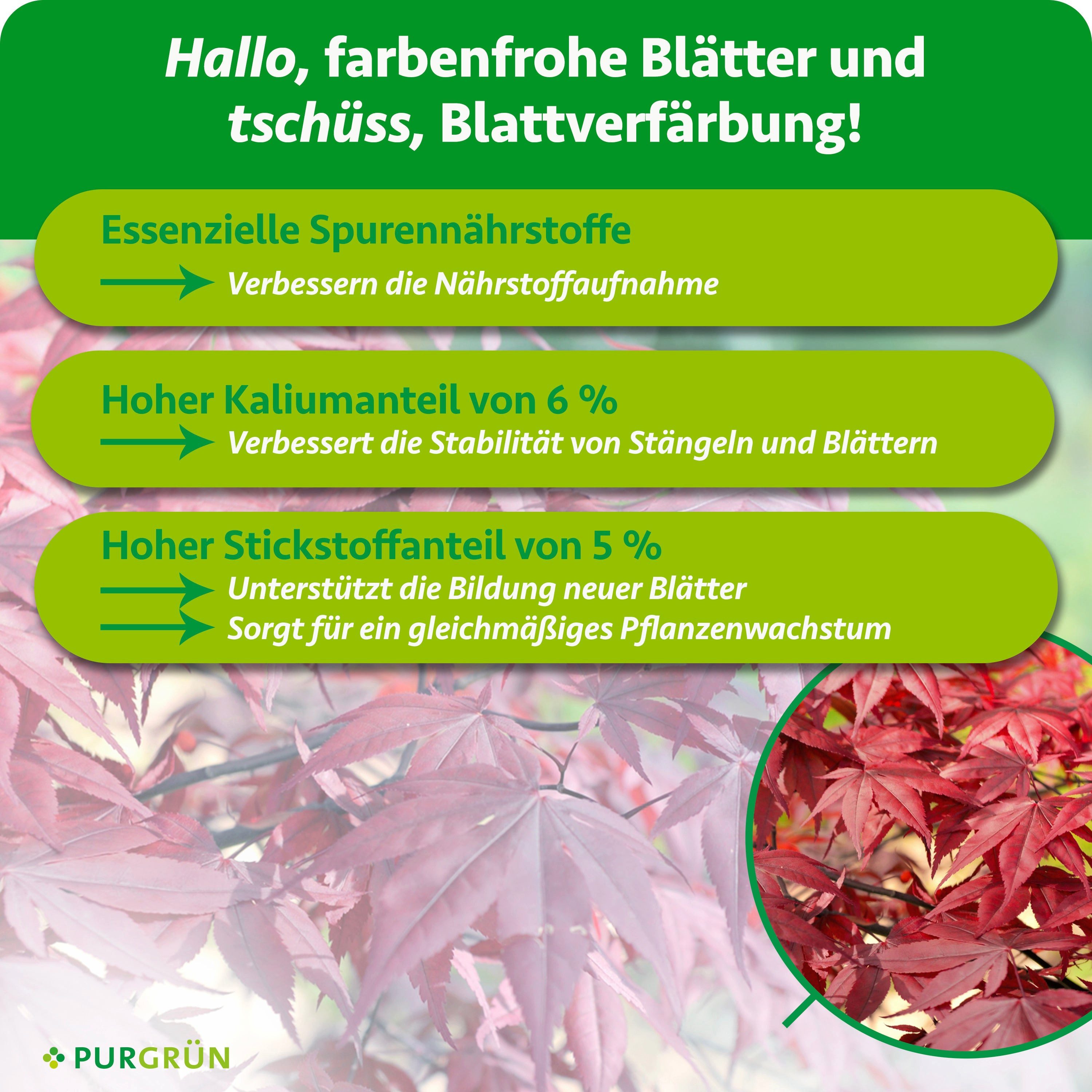 Purgrün Gartendünger Japanischer Ahorn Dünger, NPK 5+4+6, Magnesium, 1 kg, Granulat, 1-St., 1 kg