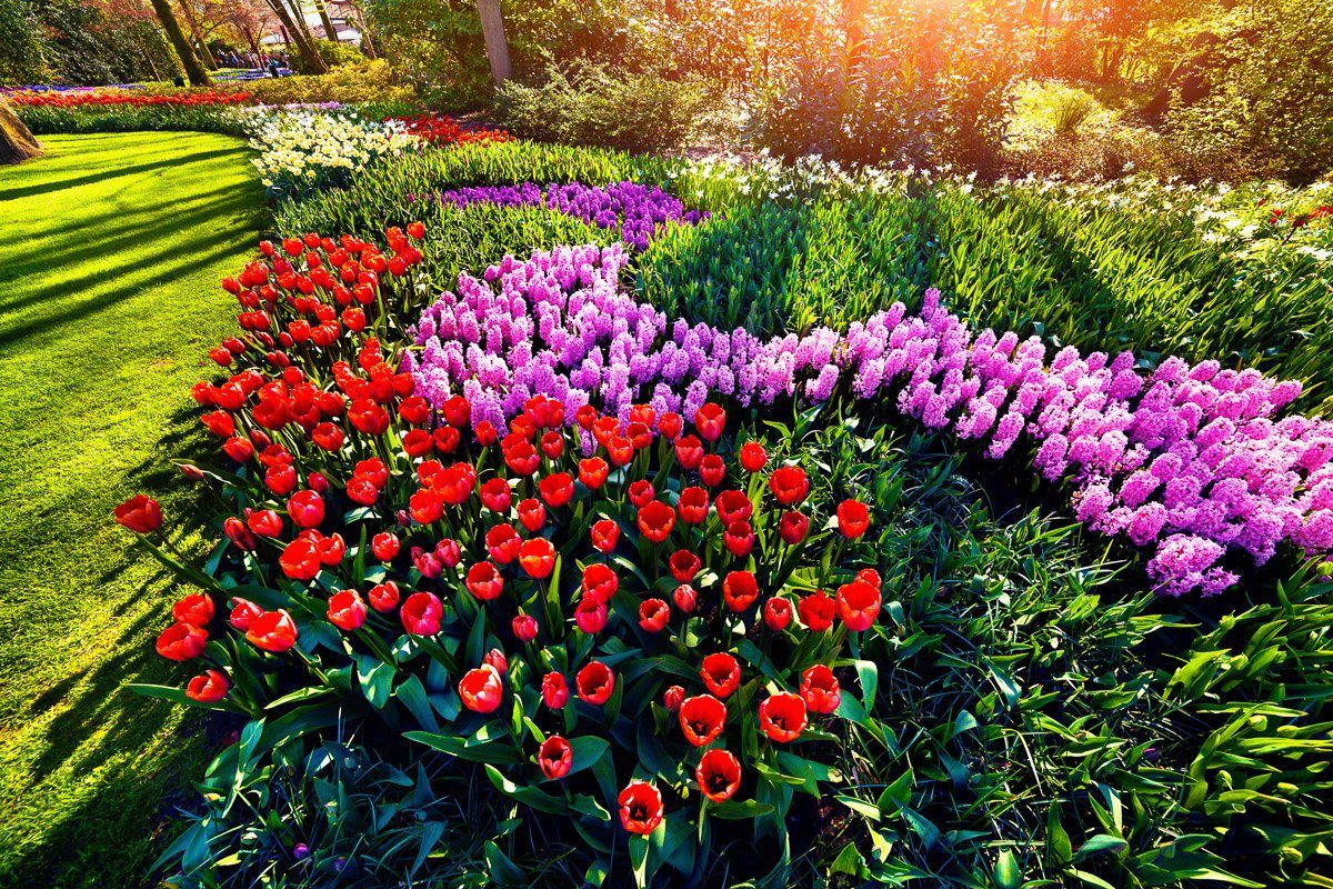 Papermoon Fototapete Blumen im Garten