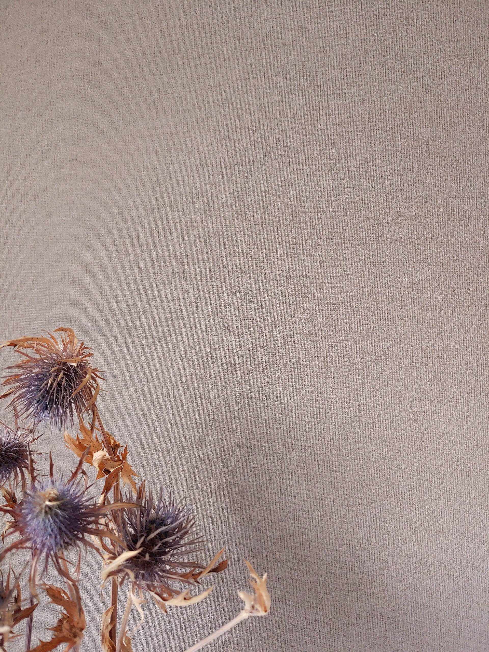 Newroom Vliestapete, Beige Tapete Uni Einfarbig günstig online kaufen