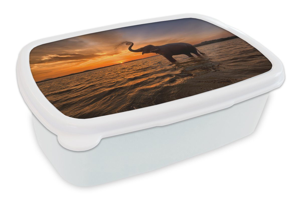 MuchoWow Lunchbox Elefant - Meer - Tiere - Sonnenuntergang - Orange, Kunststoff, (2-tlg), Brotbox für Kinder und Erwachsene, Brotdose, für Jungs und Mädchen weiß