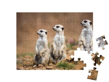 puzzleYOU Puzzle Sehr niedlich: Erdmännchen stehen Wache, 48 Puzzleteile, puzzleYOU-Kollektionen Erdmännchen, Tiere in Savanne & Wüste