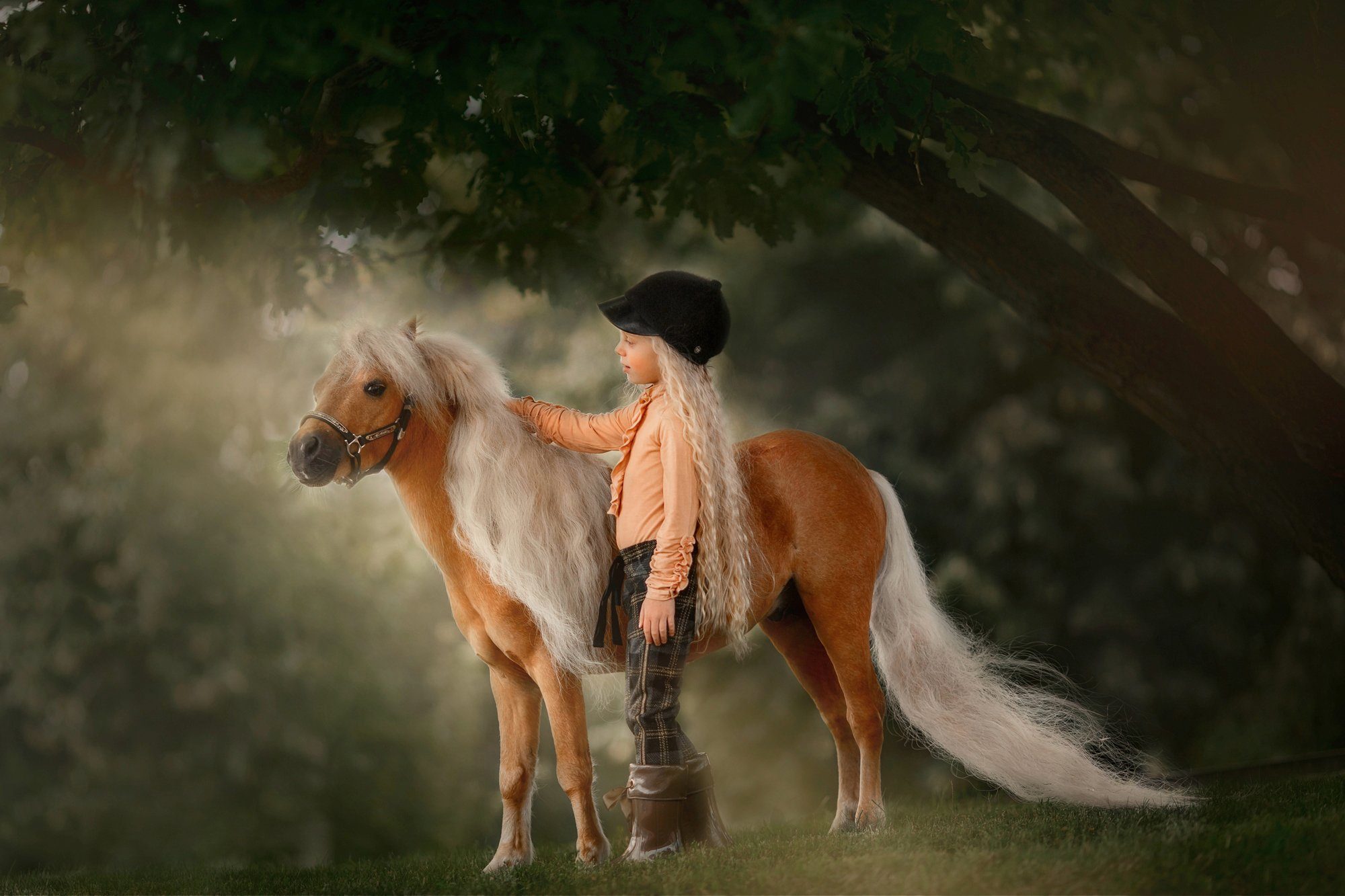 Papermoon Fototapete PALOMINO MINIATURE PFERD-MÄDCHEN WINTER TIER PONY MINI