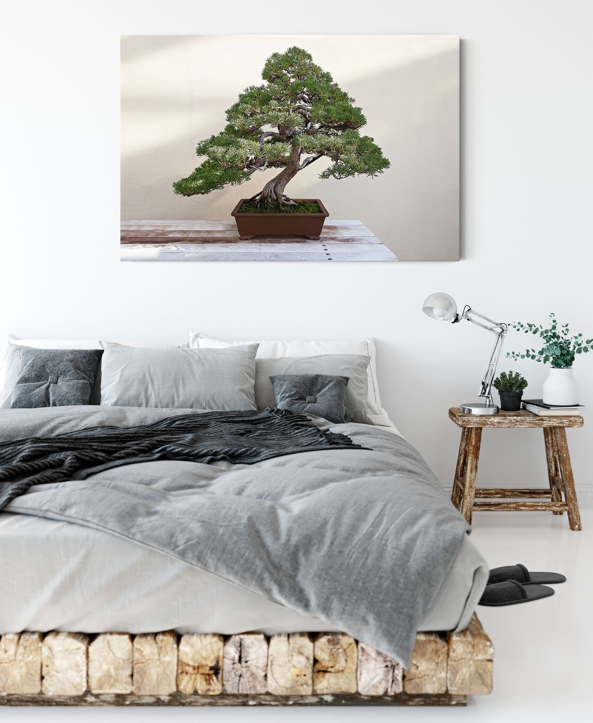Leinwandbild Zackenaufhänger Bonsai fertig Baum inkl. Leinwandbild Pixxprint St), bespannt, Baum, (1 Bonsai