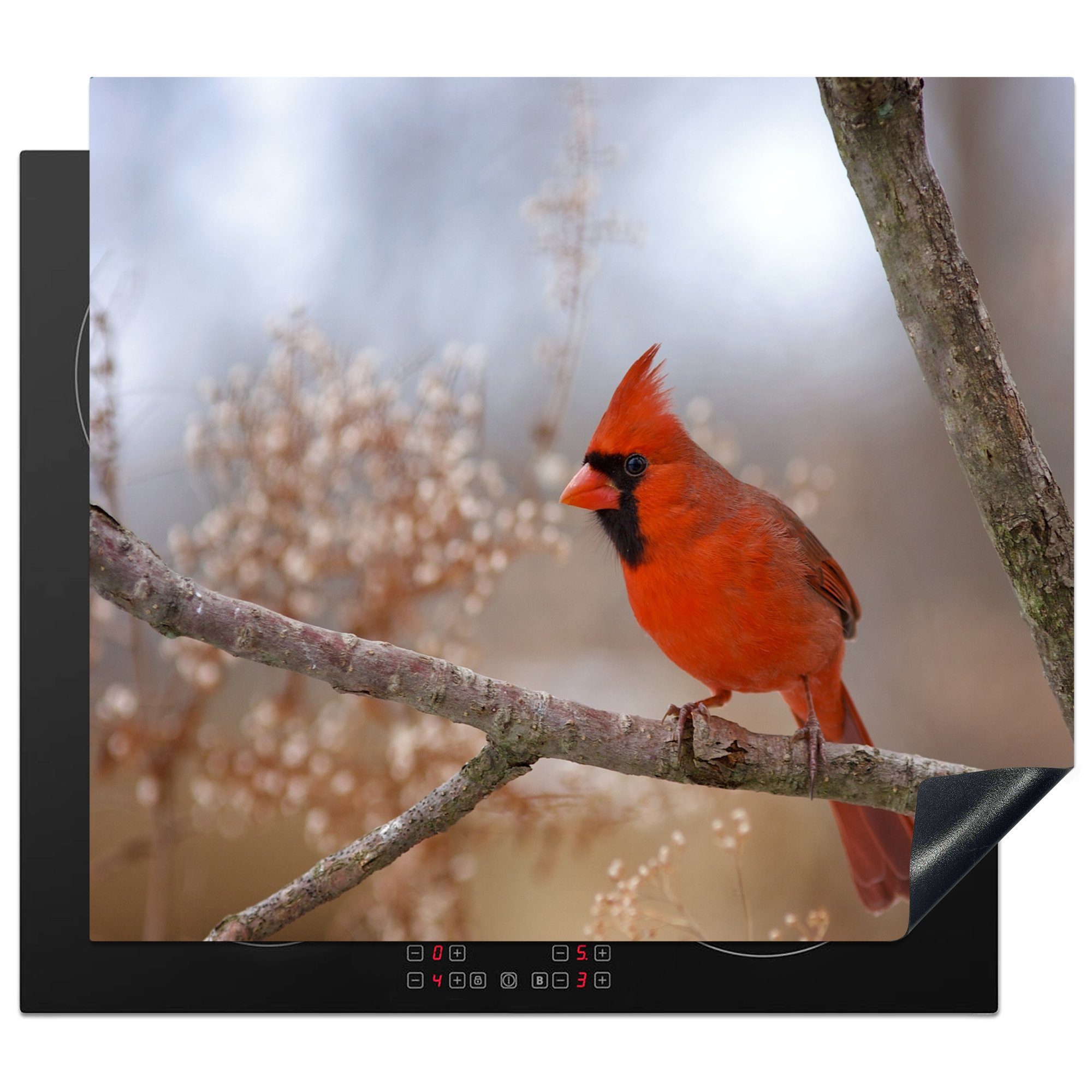 MuchoWow Herdblende-/Abdeckplatte Ein männlicher roter Kardinal auf einem dünnen Zweig, Vinyl, (1 tlg), 59x52 cm, Ceranfeldabdeckung für die küche, Induktionsmatte
