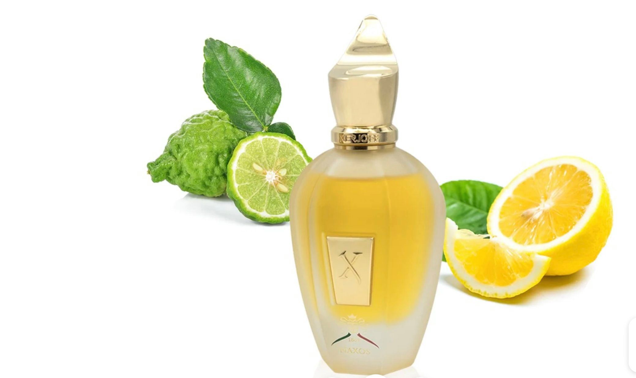 XERJOFF Eau de Parfum 1861 - NAXOS