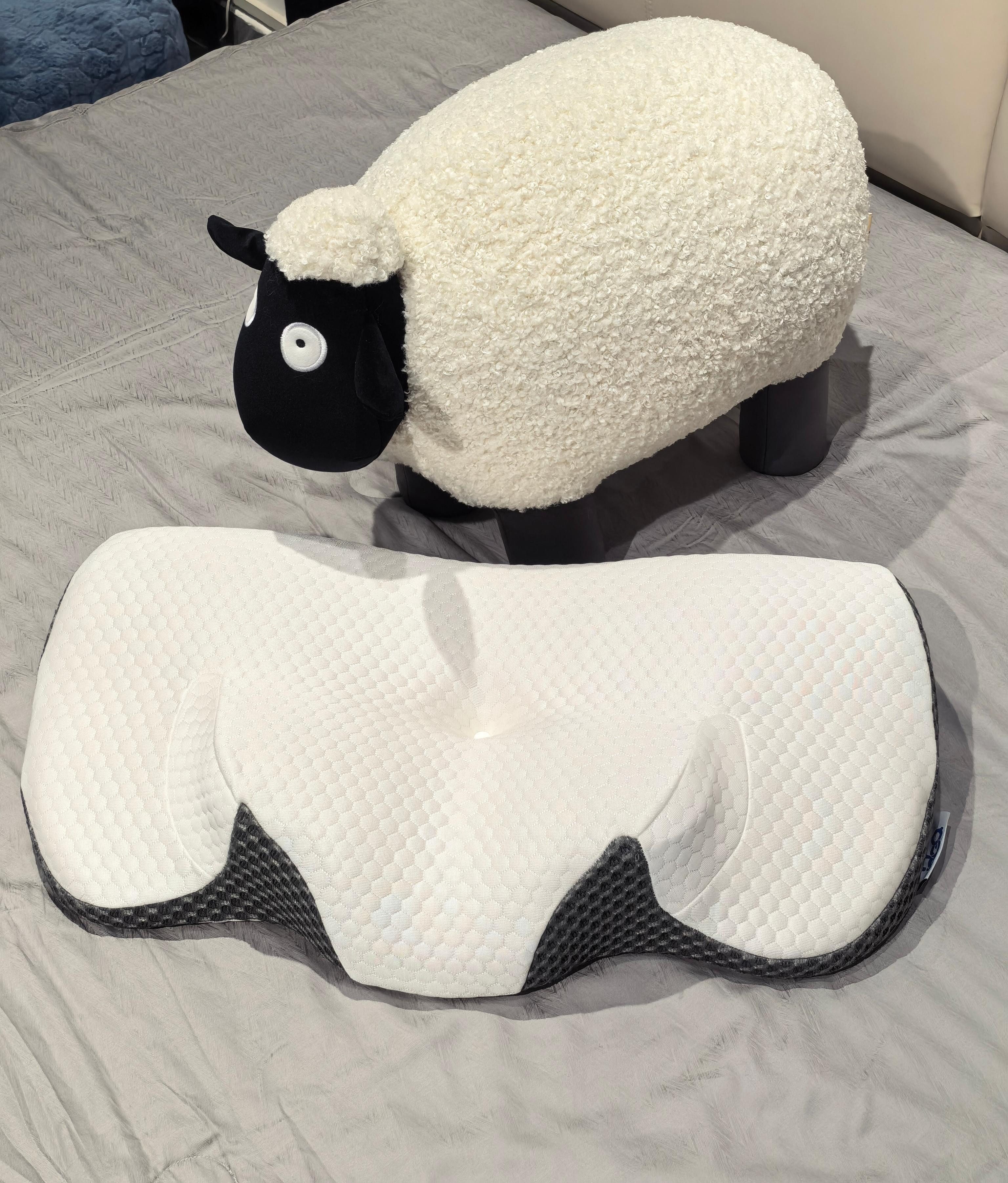 Esun Kopfkissen Nackenstützkissen, Kopfkissen Memory Foam, Kissen Seitenschläferkissen, Füllung: Rückstellschaum, Rückenschlafer, Bauchschlafer, Seitenschlafer, Set, Kissen, Pillow Kissen für Seiten, Rücken & Bauchschläfer