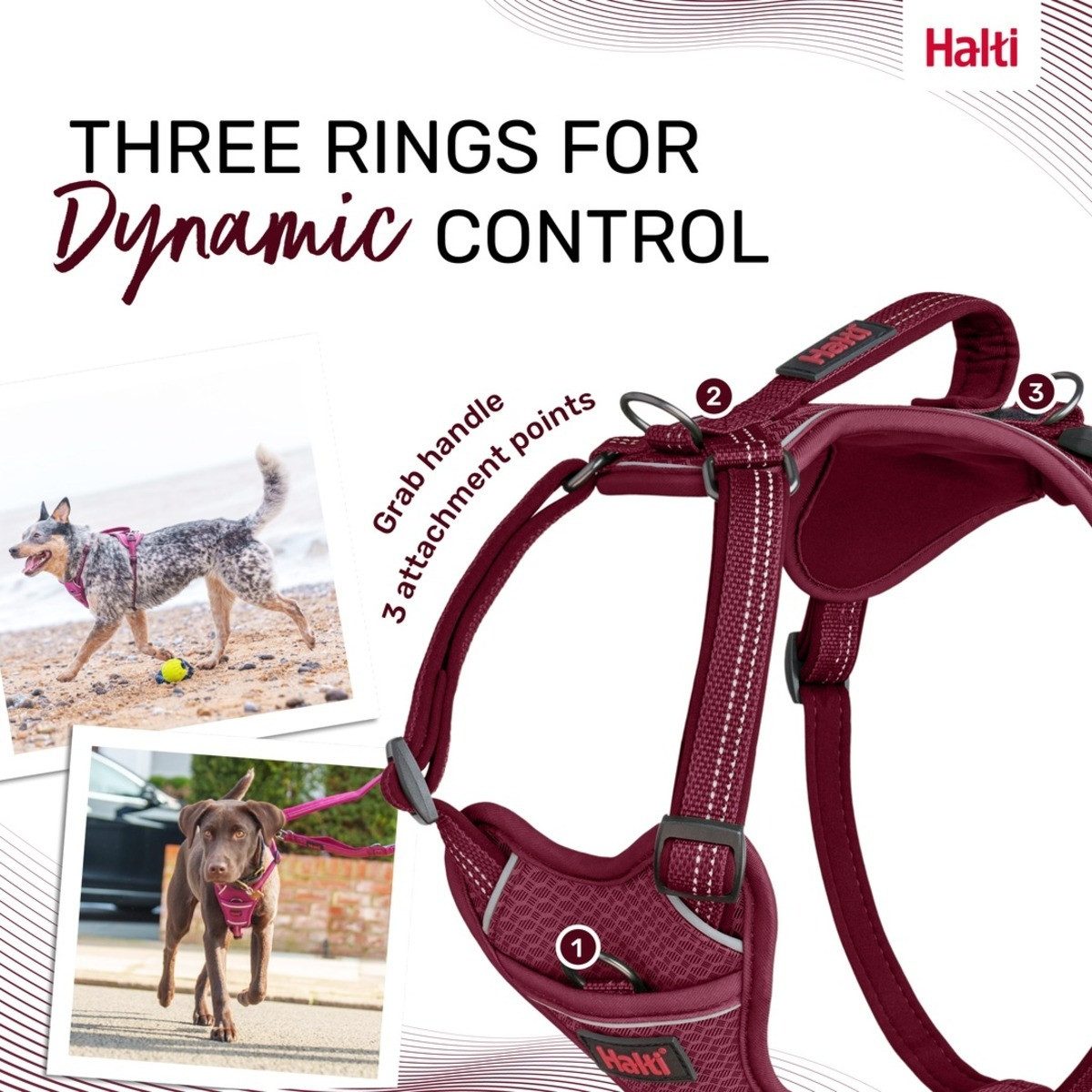 Company of Animals Hunde-Geschirr Hundegeschirr Anatomy Harness Magenta