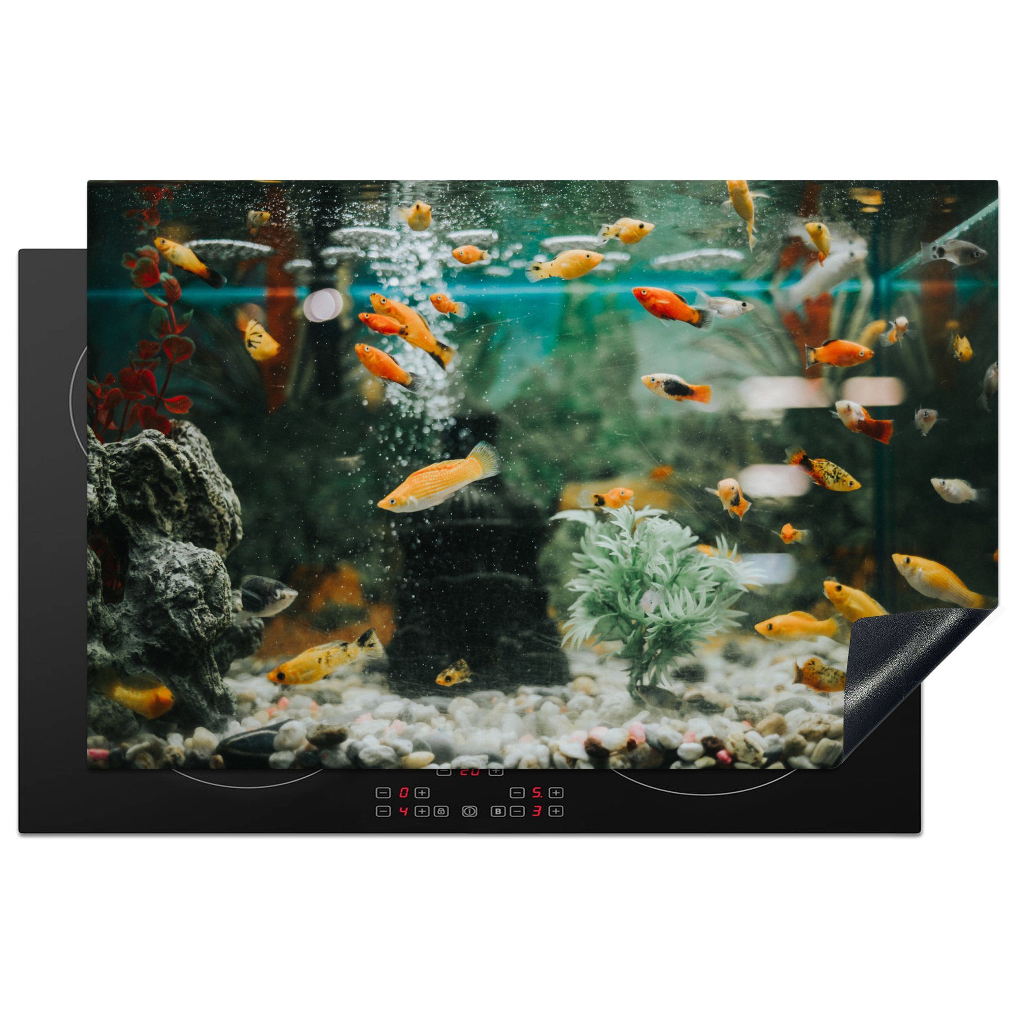 MuchoWow Herdblende-/Abdeckplatte Kleine Fische in einem Aquarium, Vinyl, (1 tlg), 81x52 cm, Induktionskochfeld Schutz für die küche, Ceranfeldabdeckung