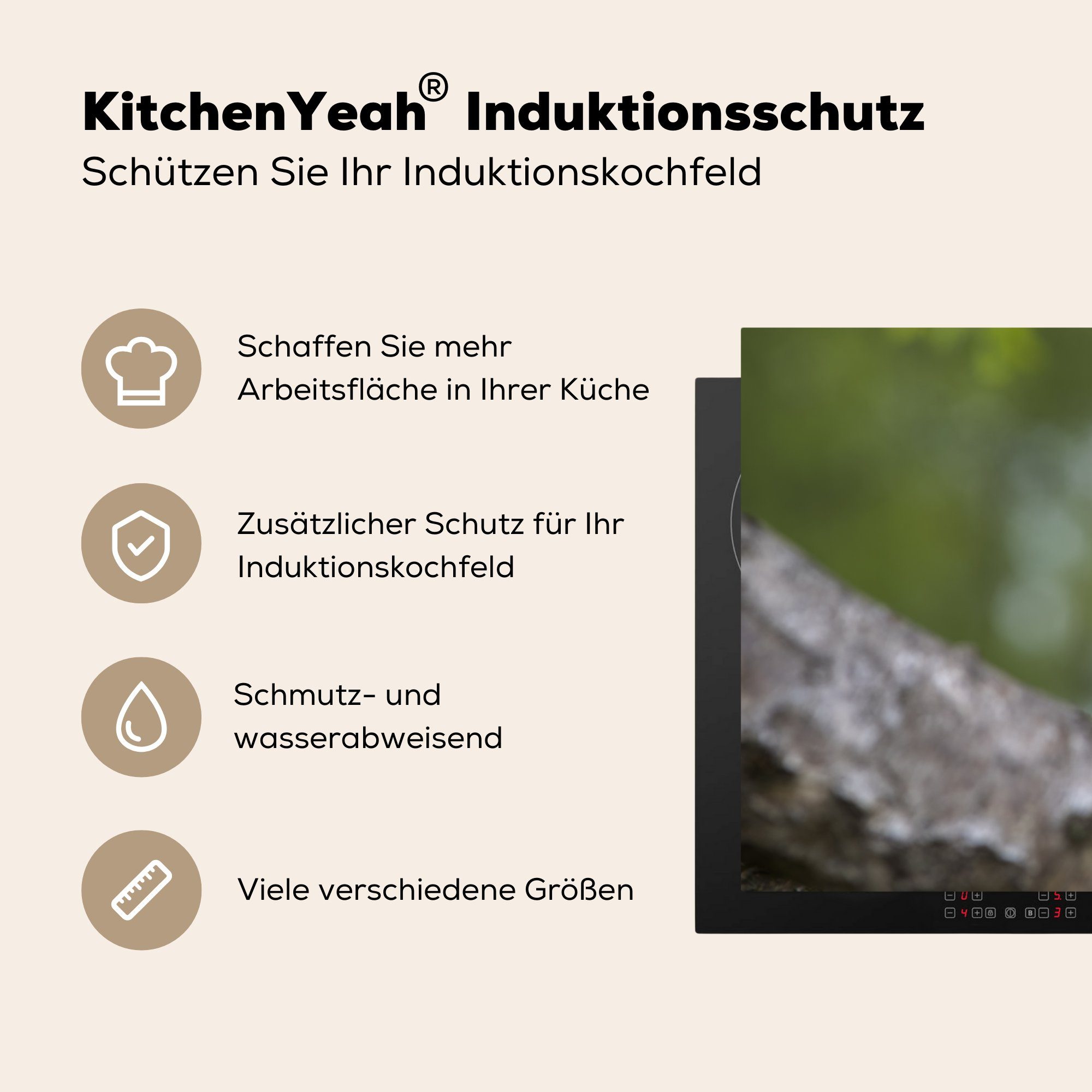 MuchoWow Herdblende-/Abdeckplatte Falke - Vinyl, Schutz 81x52 Induktionskochfeld Pflanzen, die (1 küche, für Zweige - Ceranfeldabdeckung cm, tlg)