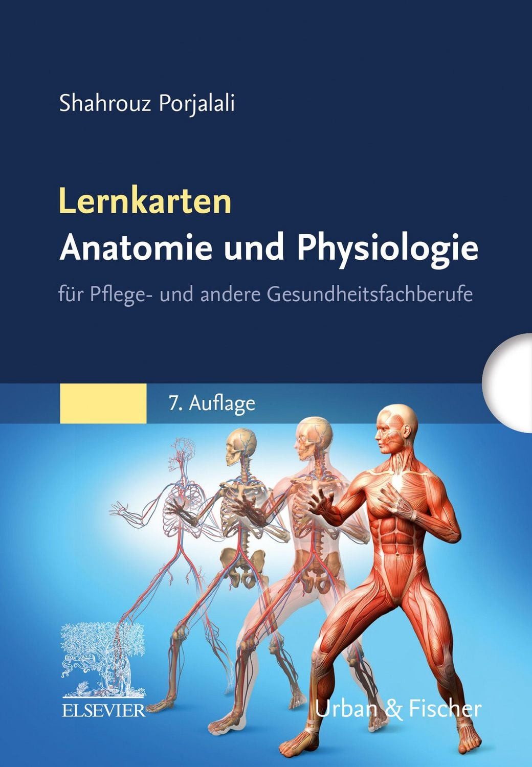 Lernkarten Anatomie und Physiologie für Pflege- und andere Gesundheits / Shahrouz Porjalali