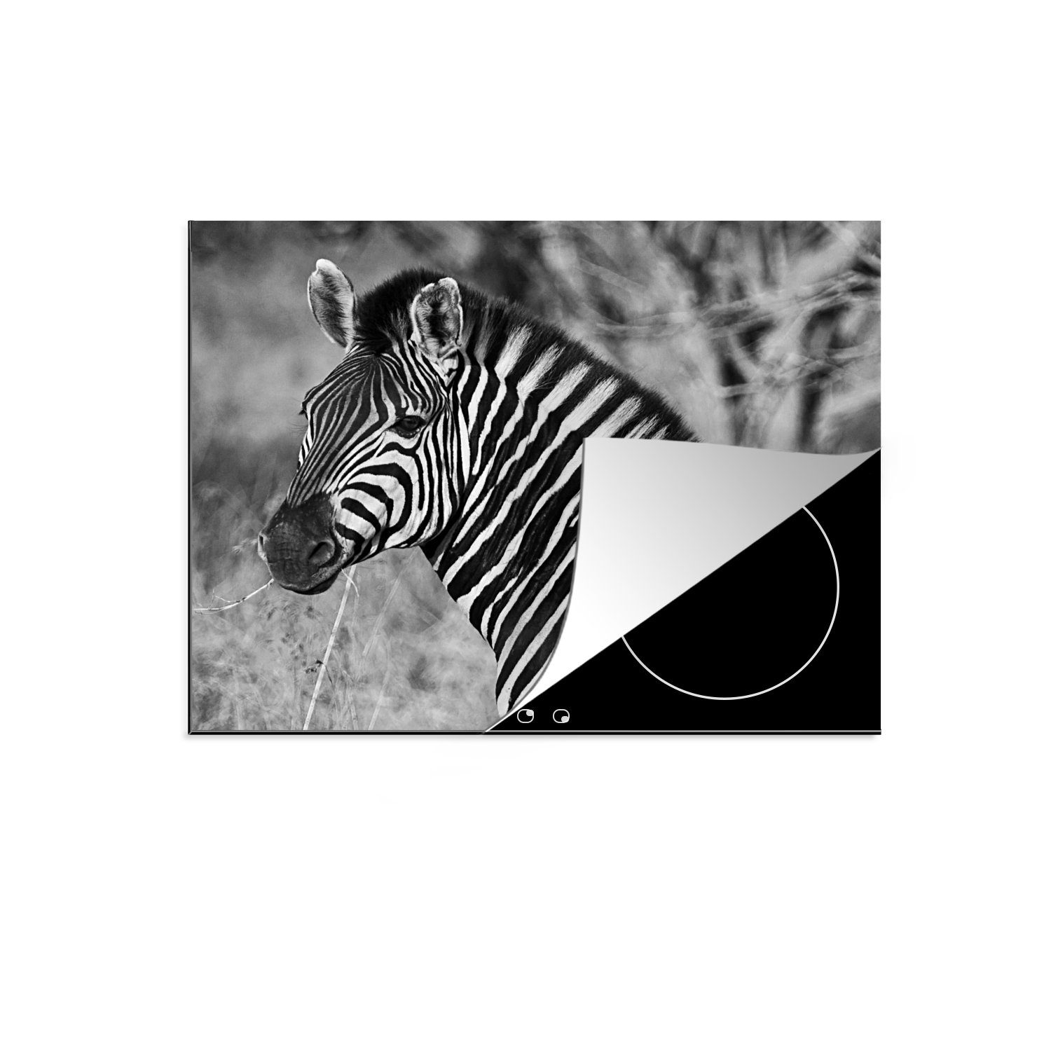 MuchoWow Herdblende-/Abdeckplatte Zebra-Porträt, Ceranfeldabdeckung 59x52 Induktionsmatte cm, tlg), Vinyl, (1 küche, für die