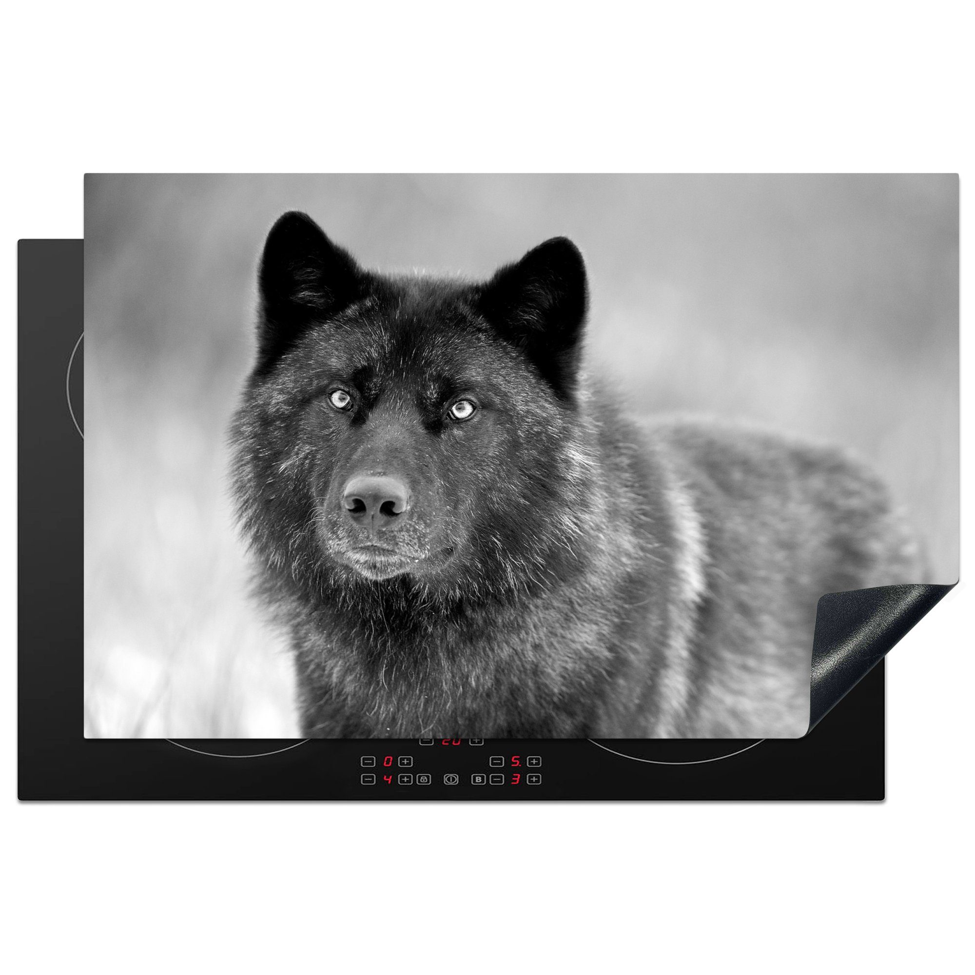 MuchoWow Herdblende-/Abdeckplatte Schwarzer Wolf in Schwarz und Weiß, Vinyl, (1 tlg), 81x52 cm, Induktionskochfeld Schutz für die küche, Ceranfeldabdeckung
