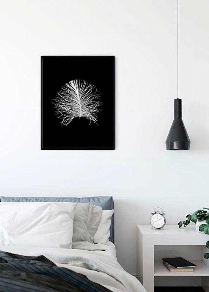 Kinderzimmer, Wohnzimmer Schlafzimmer, Federn Poster (1 St), Black, Feather Komar