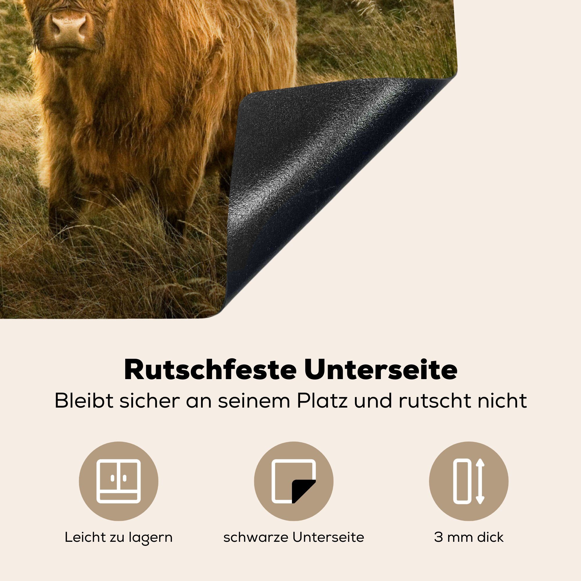 MuchoWow Herdblende-/Abdeckplatte Schottischer Hochländer - küche, die Tiere, (1 für Ceranfeldabdeckung tlg), cm, Vinyl, - Sonne Induktionsmatte 59x52