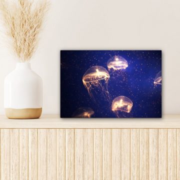 OneMillionCanvasses® Leinwandbild Qualle - Licht - Meer, (1 St), Wandbild Leinwandbilder, Aufhängefertig, Wanddeko, 30x20 cm